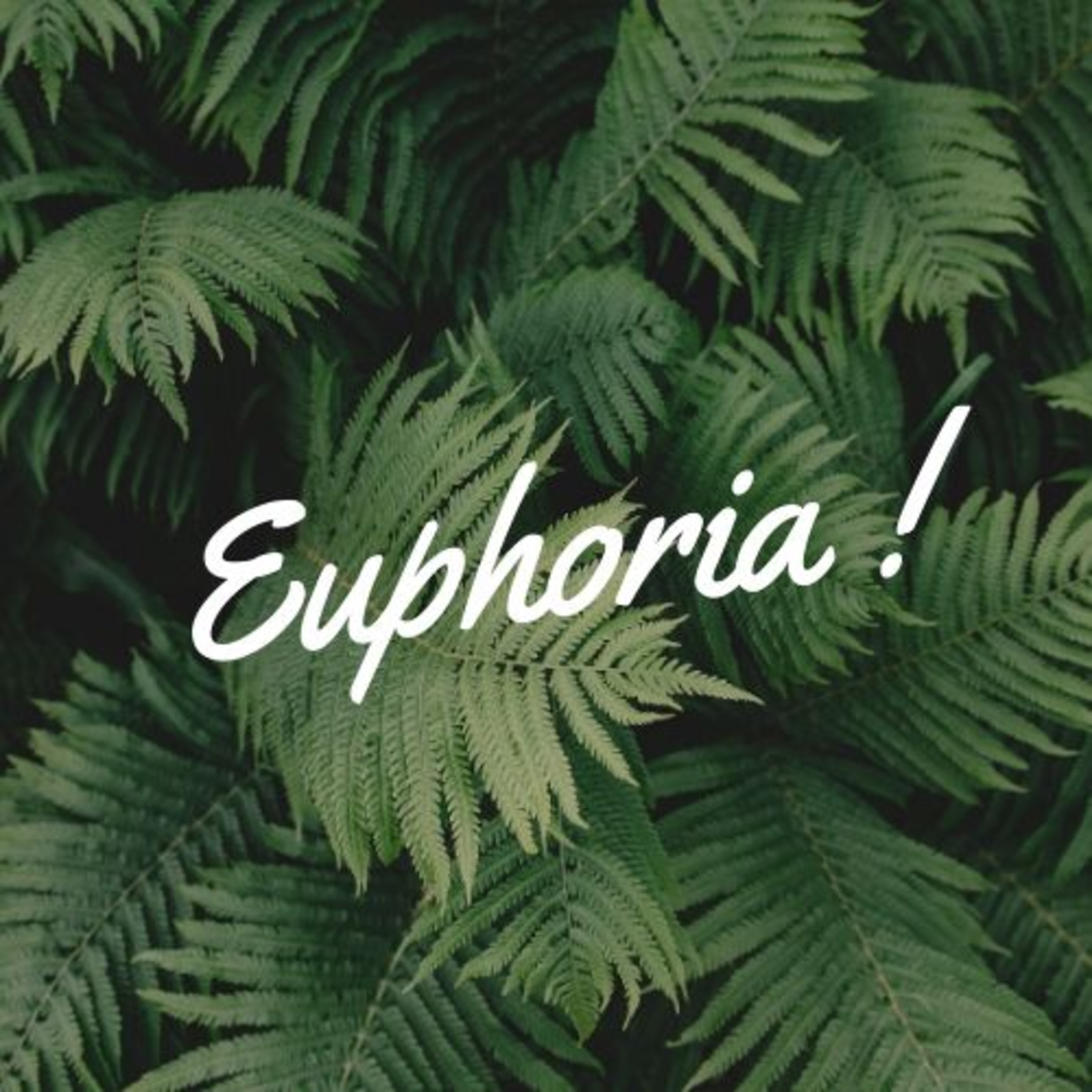 Placement in Black Euphoria | Sticking it in the Right or Wrong Hole?