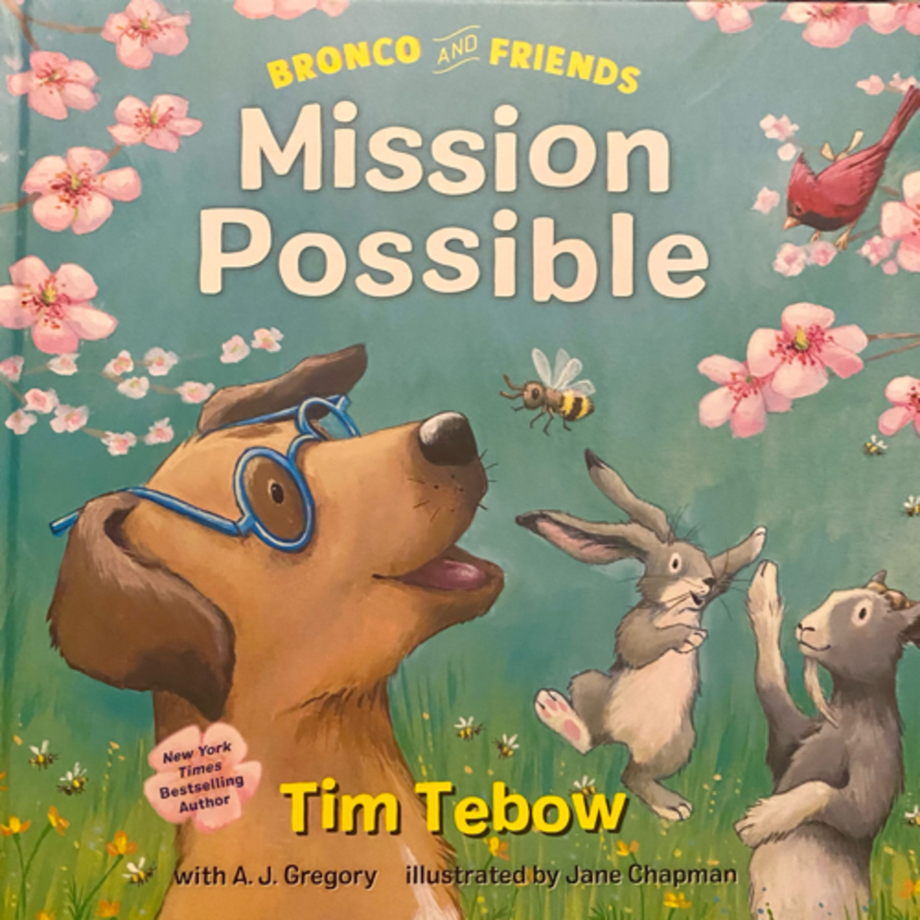 Read To Me With Ash and Gemmy