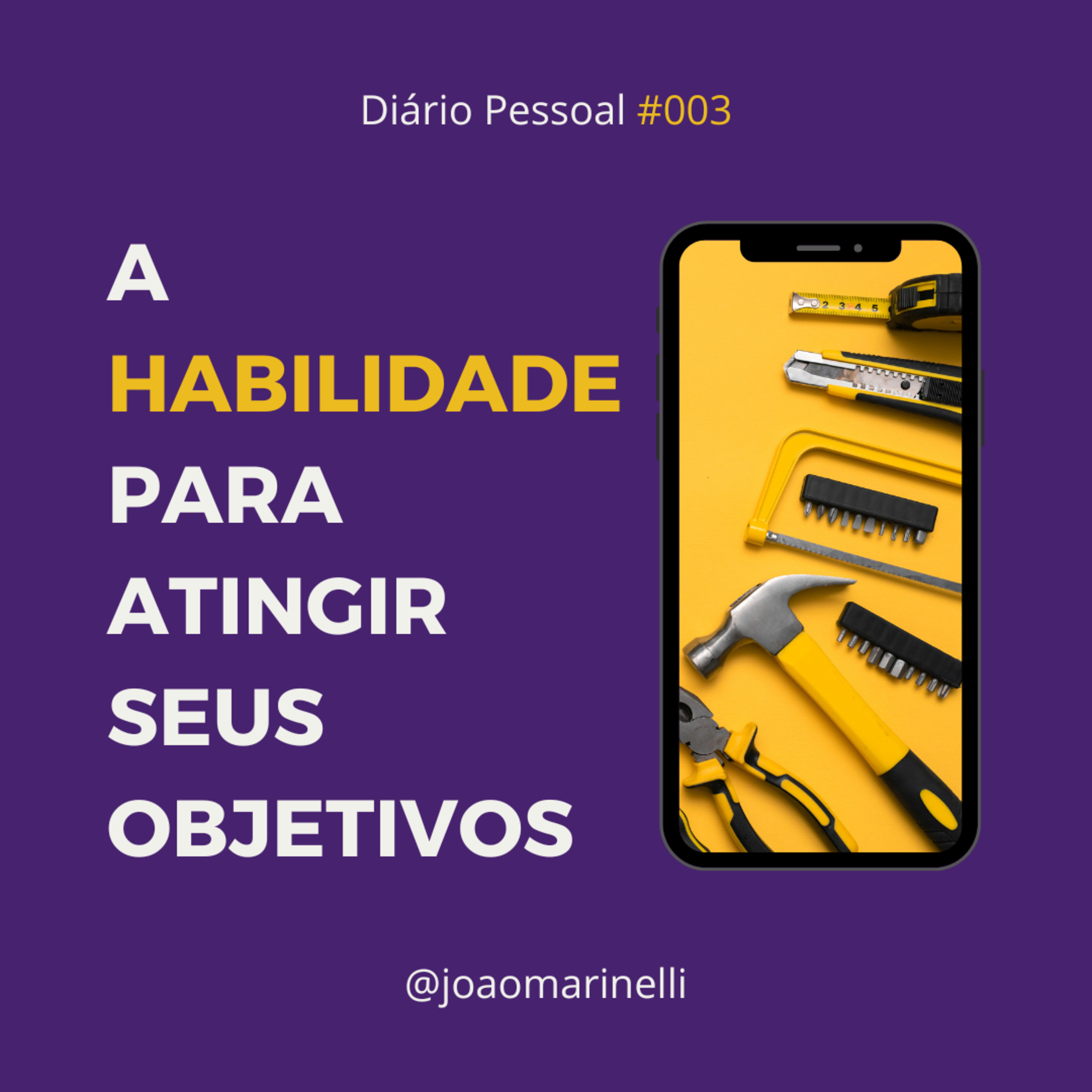 A HABILIDADE NECESSÁRIA PARA ATINGIR SEUS OBJETIVOS | DIÁRIO PESSOAL #03 episode artwork