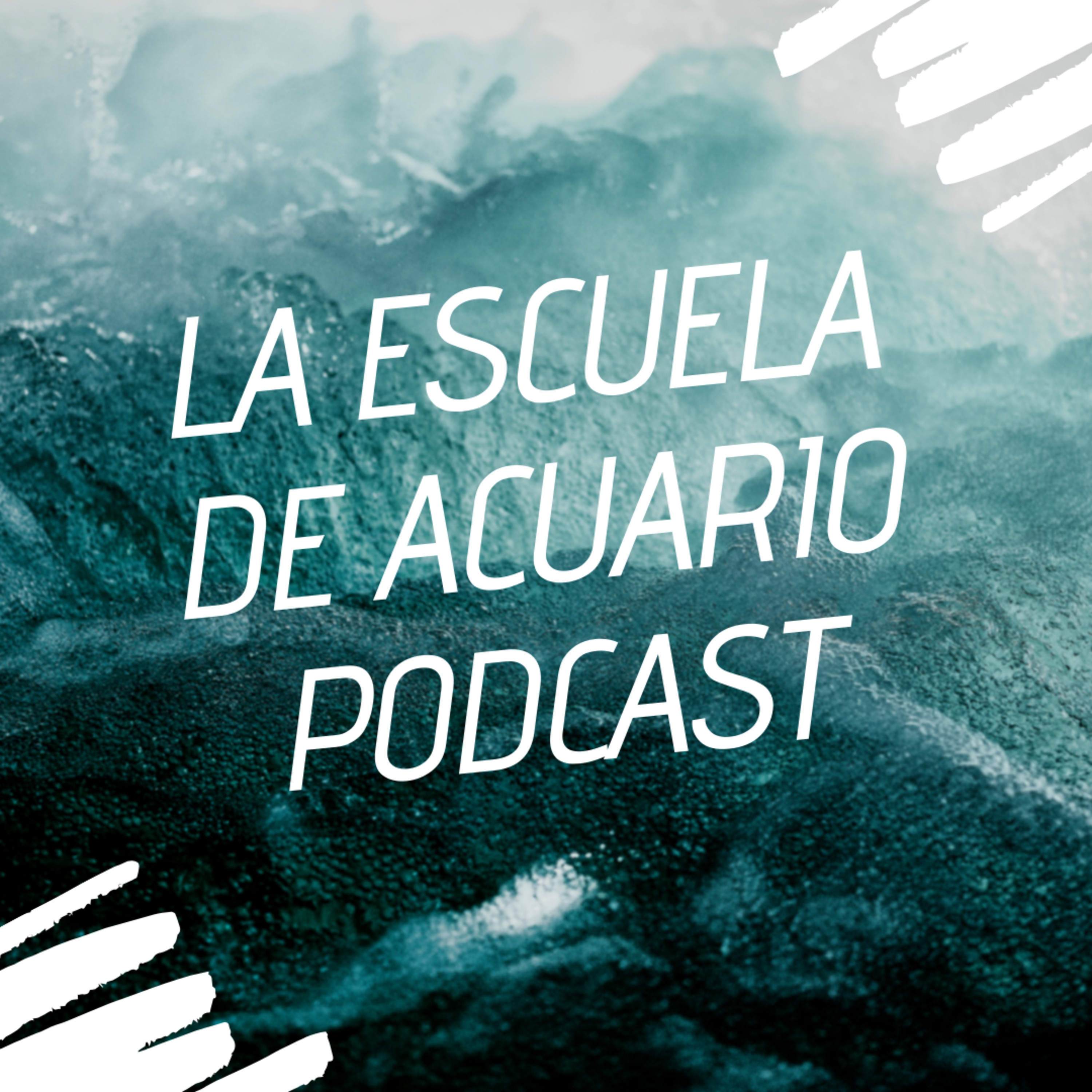 Introducción a La escuela de Acuario episode artwork