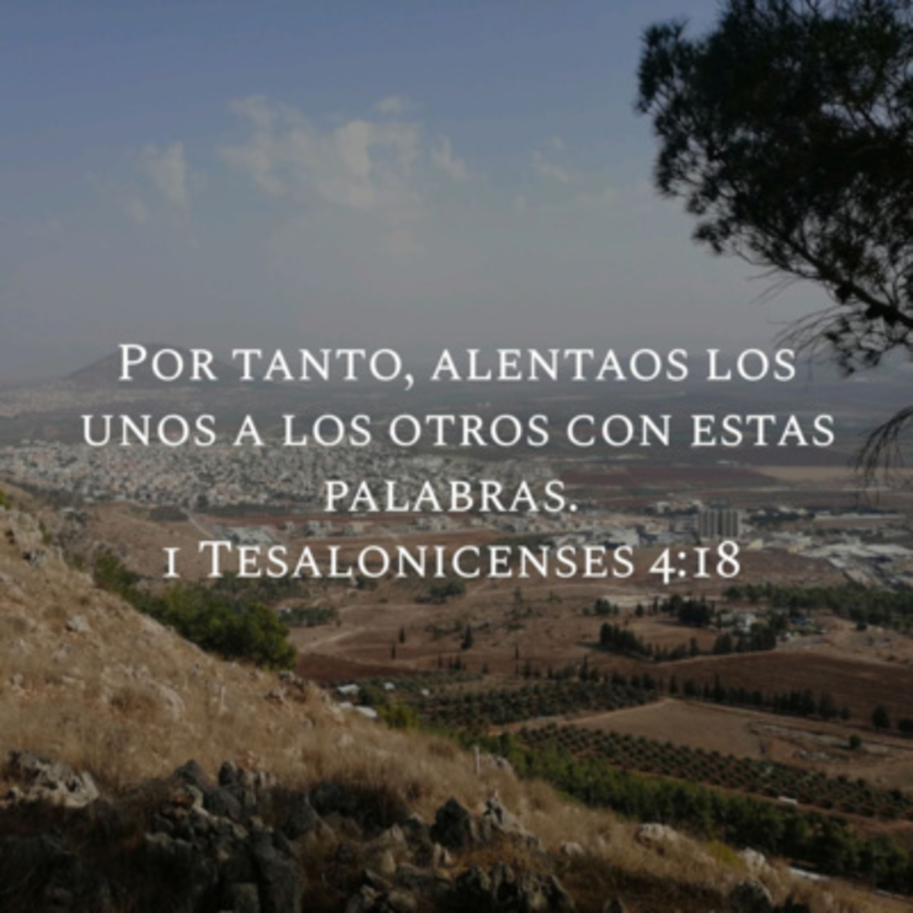 Portada de Estudio Biblico GT