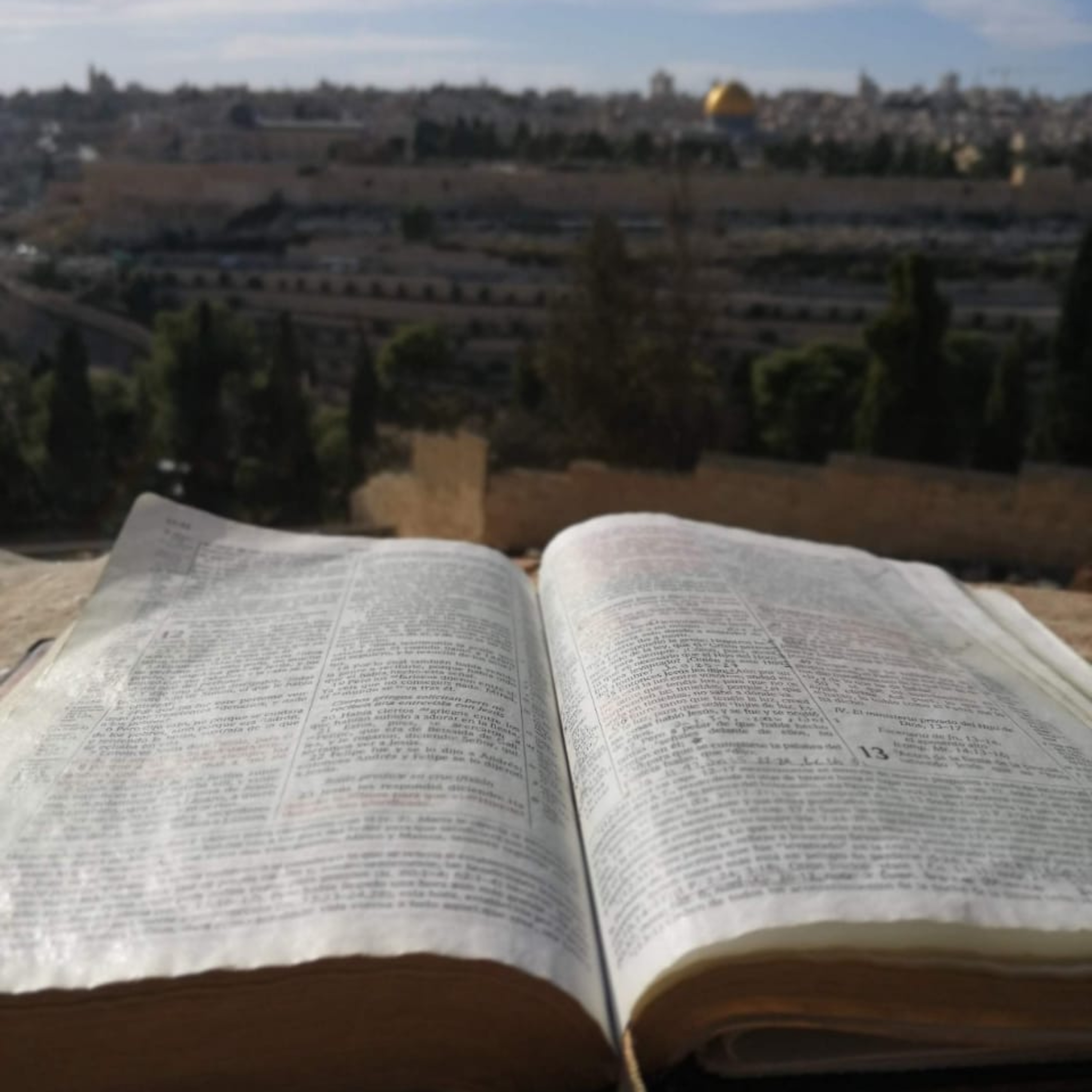 Estudio Biblico GT