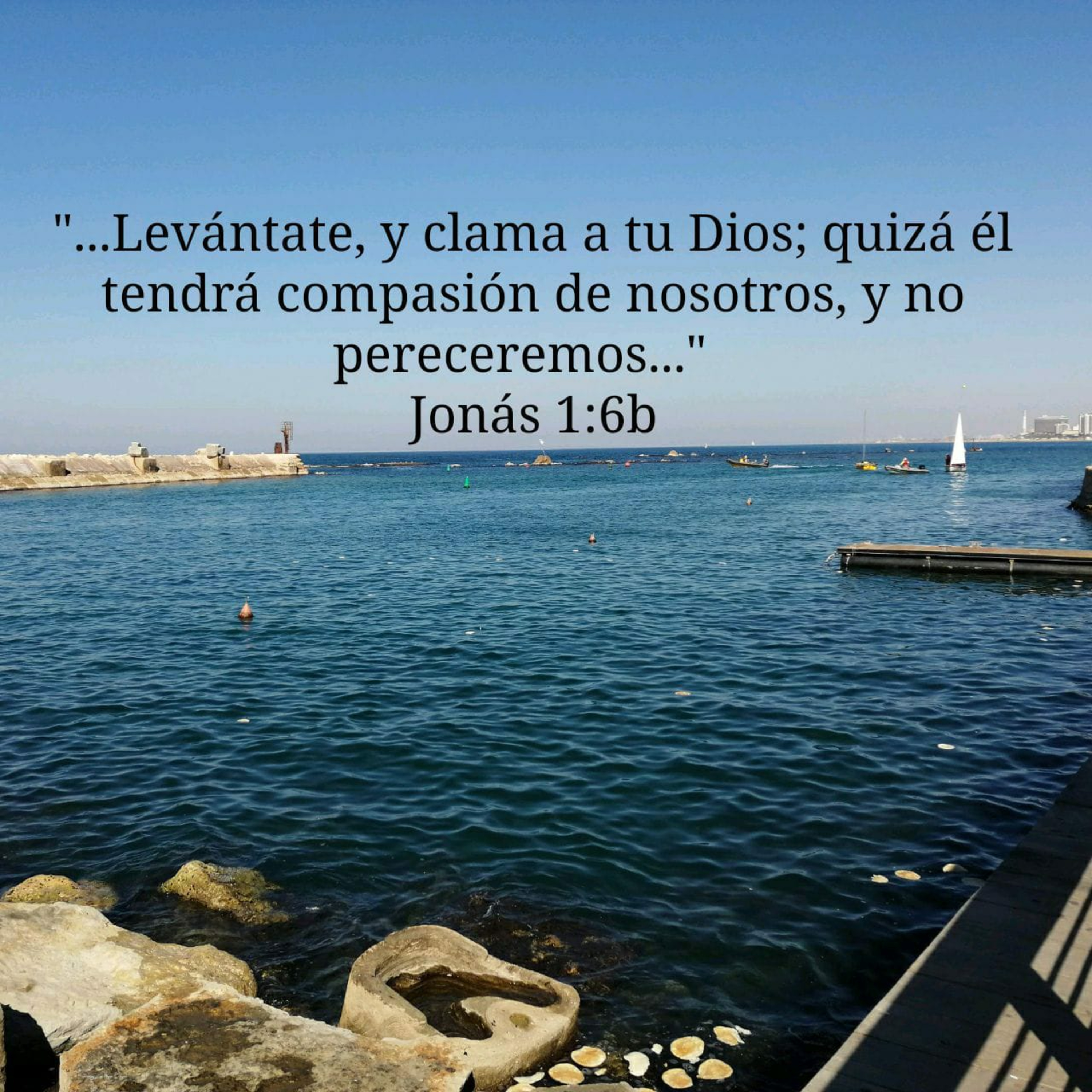 Portada de Estudio Biblico GT
