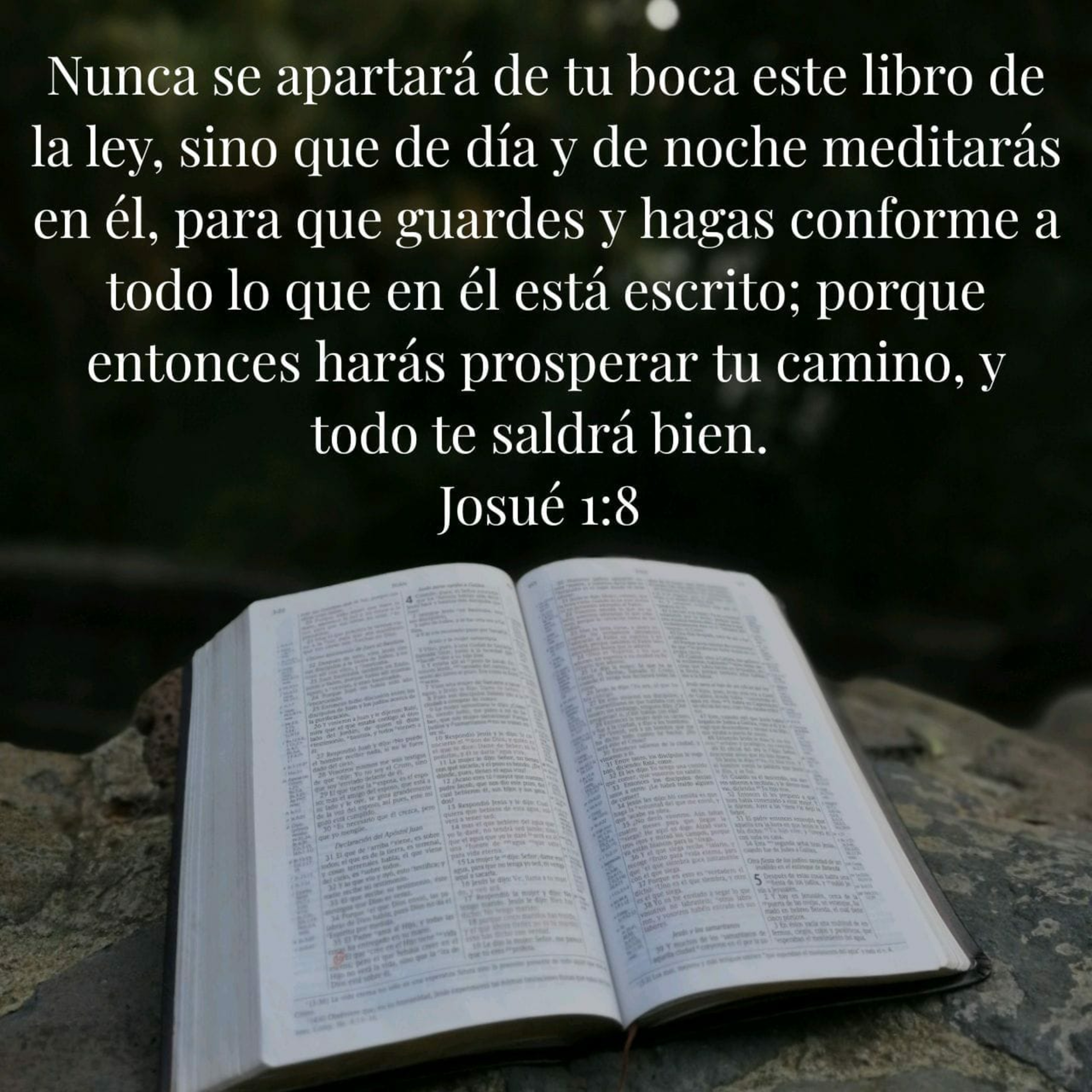 Portada de Estudio Biblico GT