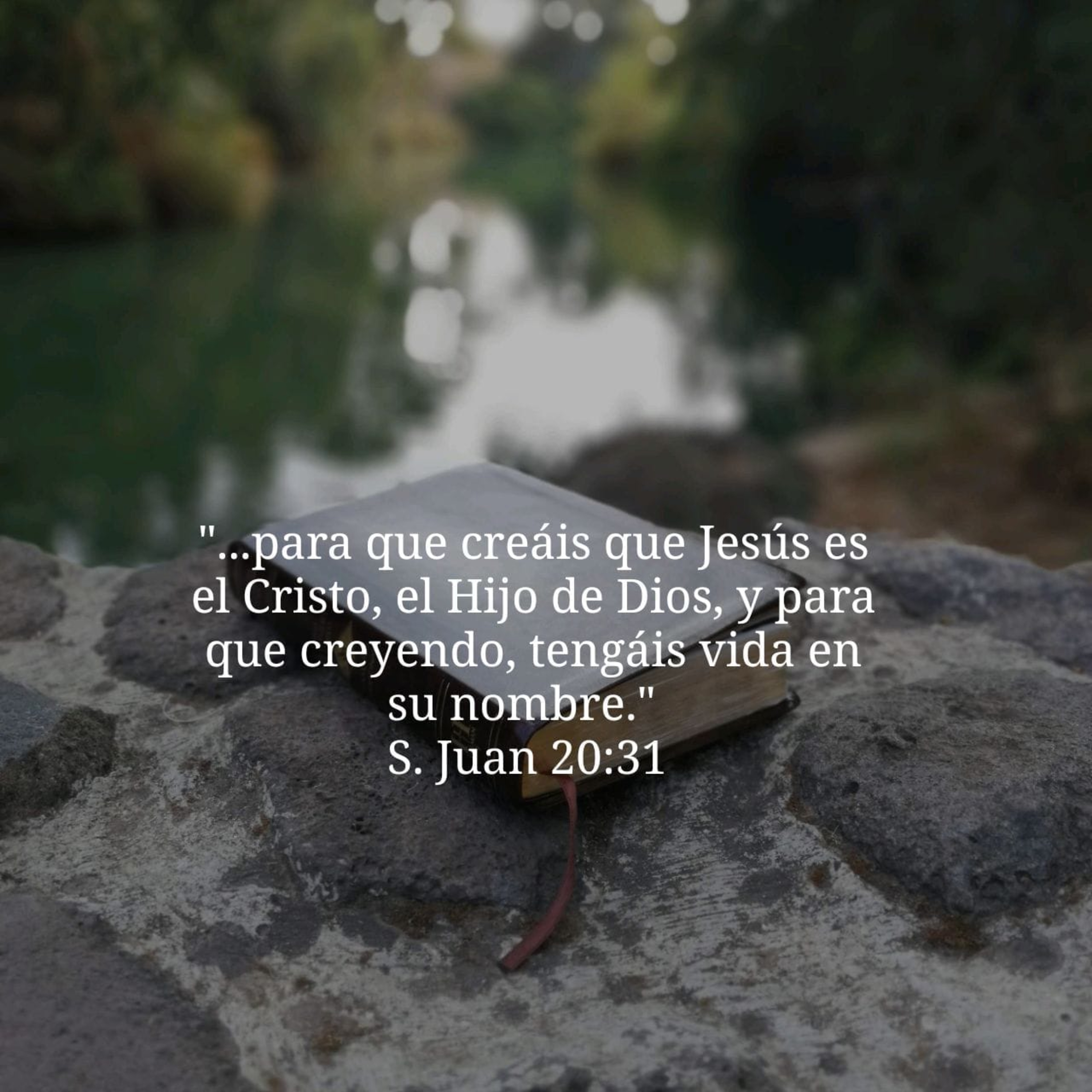 Portada de Estudio Biblico GT