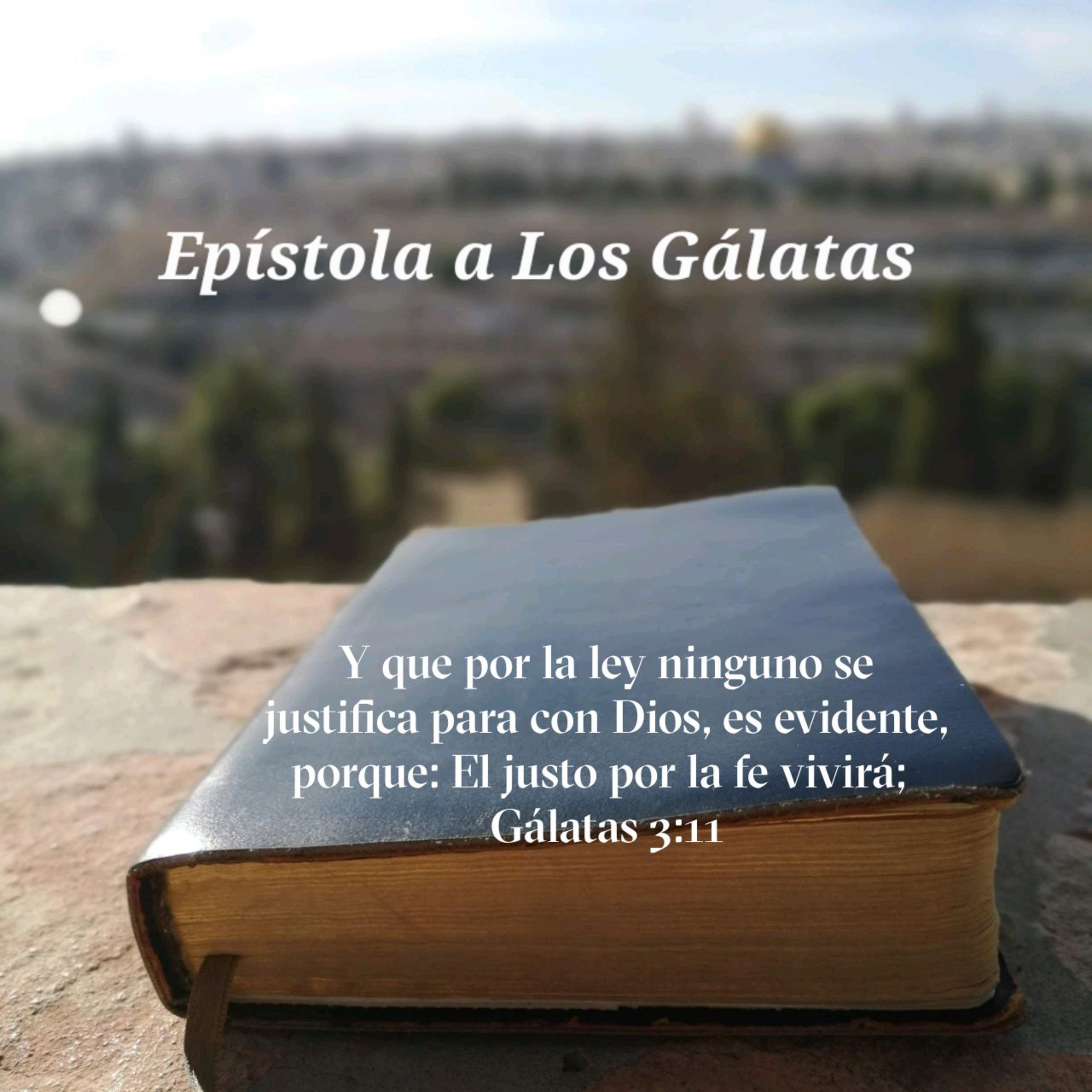 Portada de Estudio Biblico GT