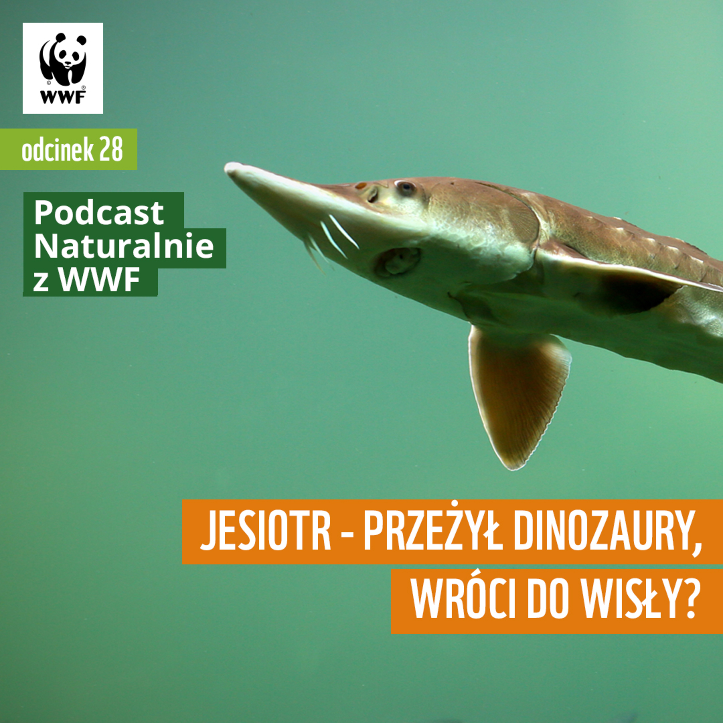 Naturalnie z WWF
