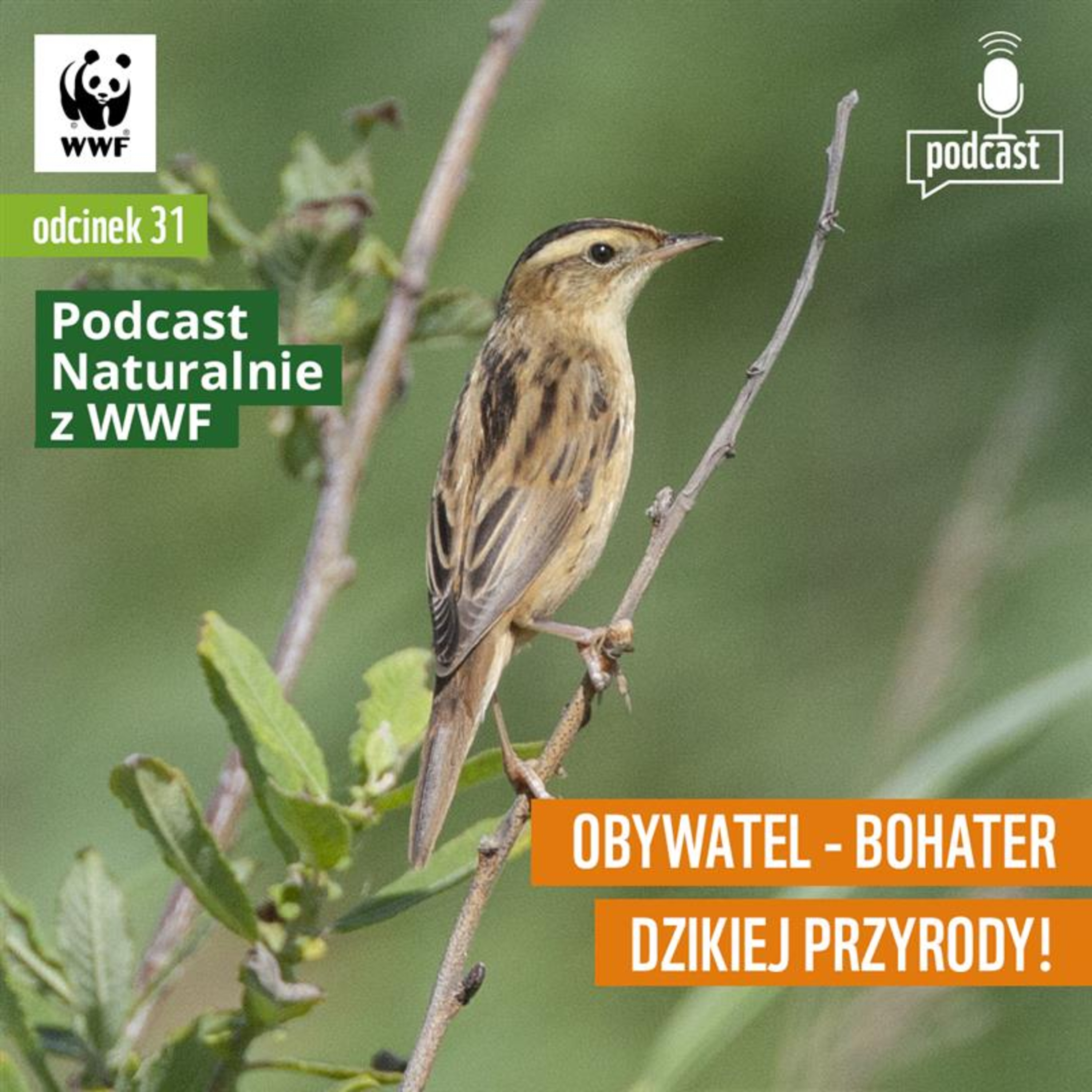 Naturalnie z WWF