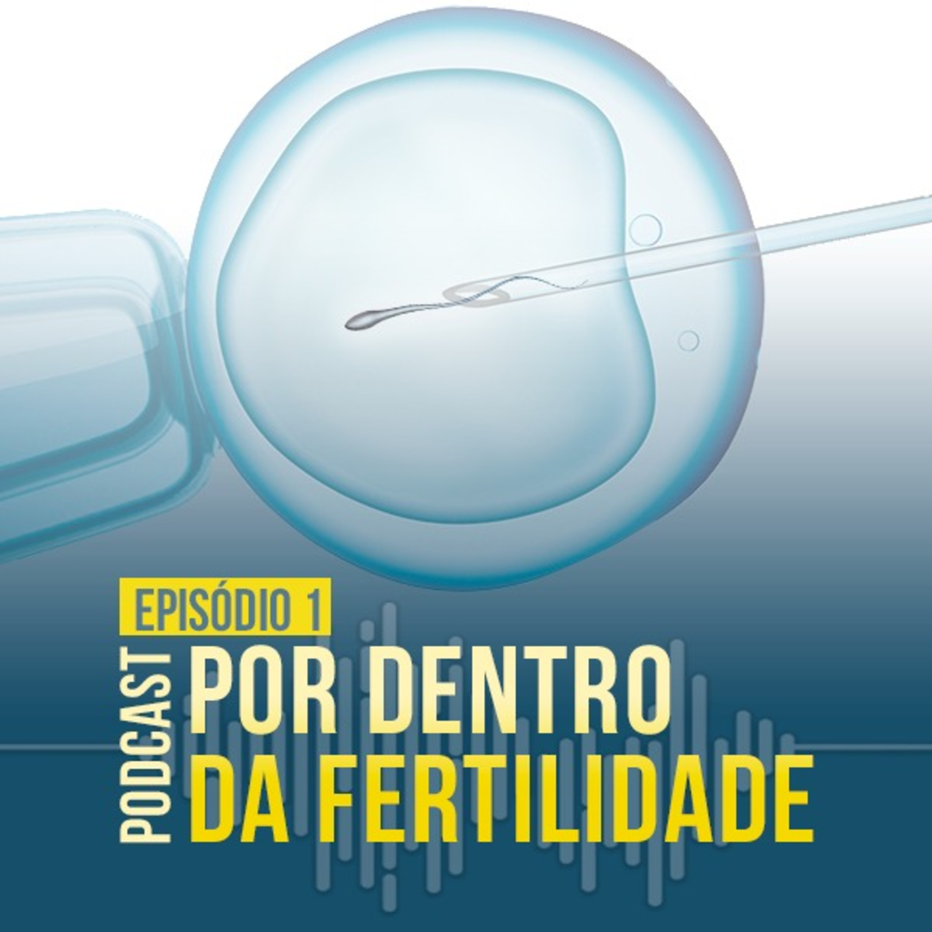 #01 - Endometriose e Infertilidade - Por Dentro da Fertilidade