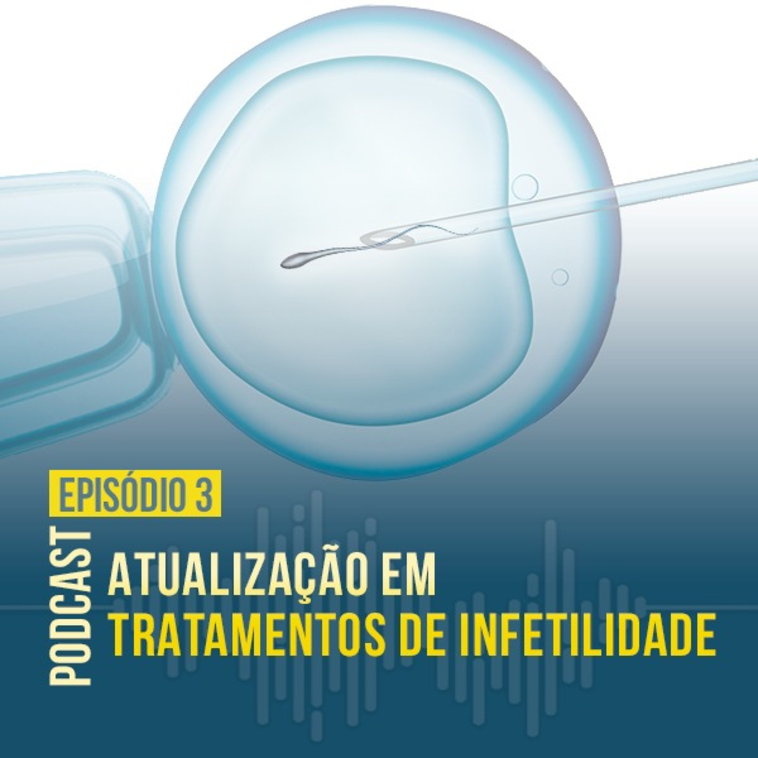 #03 - Atualização em Tratamentos de Infertilidade - Por Dentro da Fertilidade