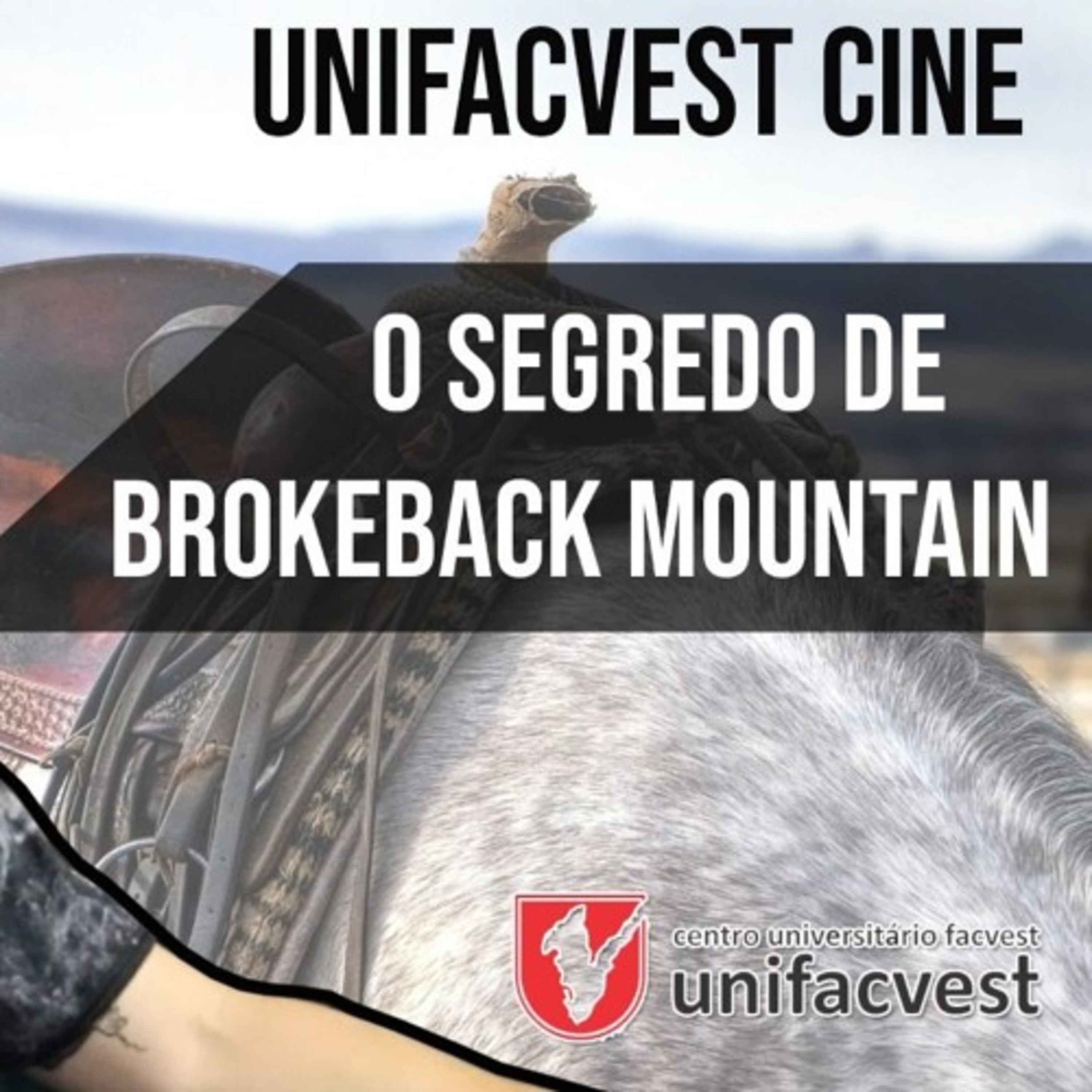 Unifacvest Play