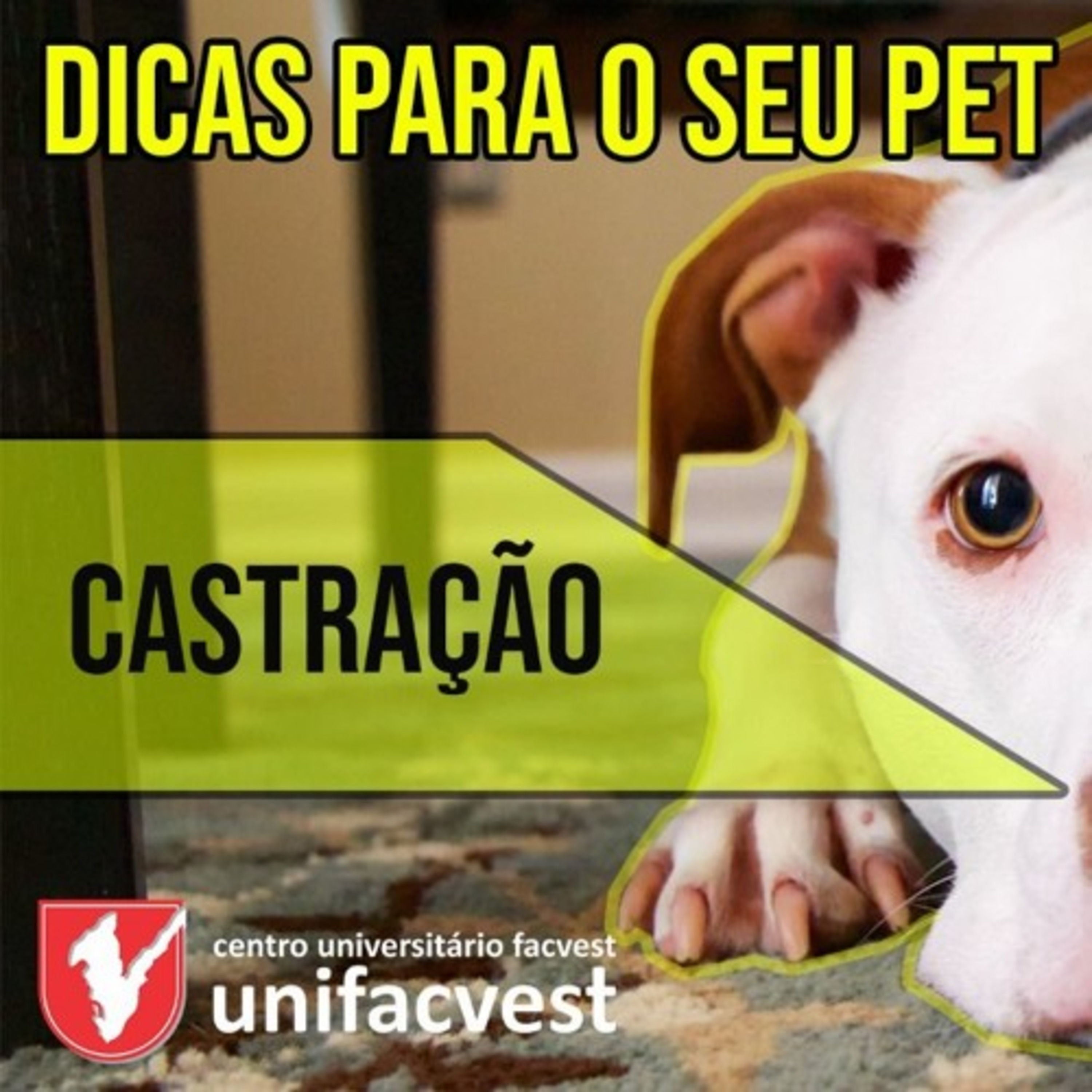 Unifacvest Play