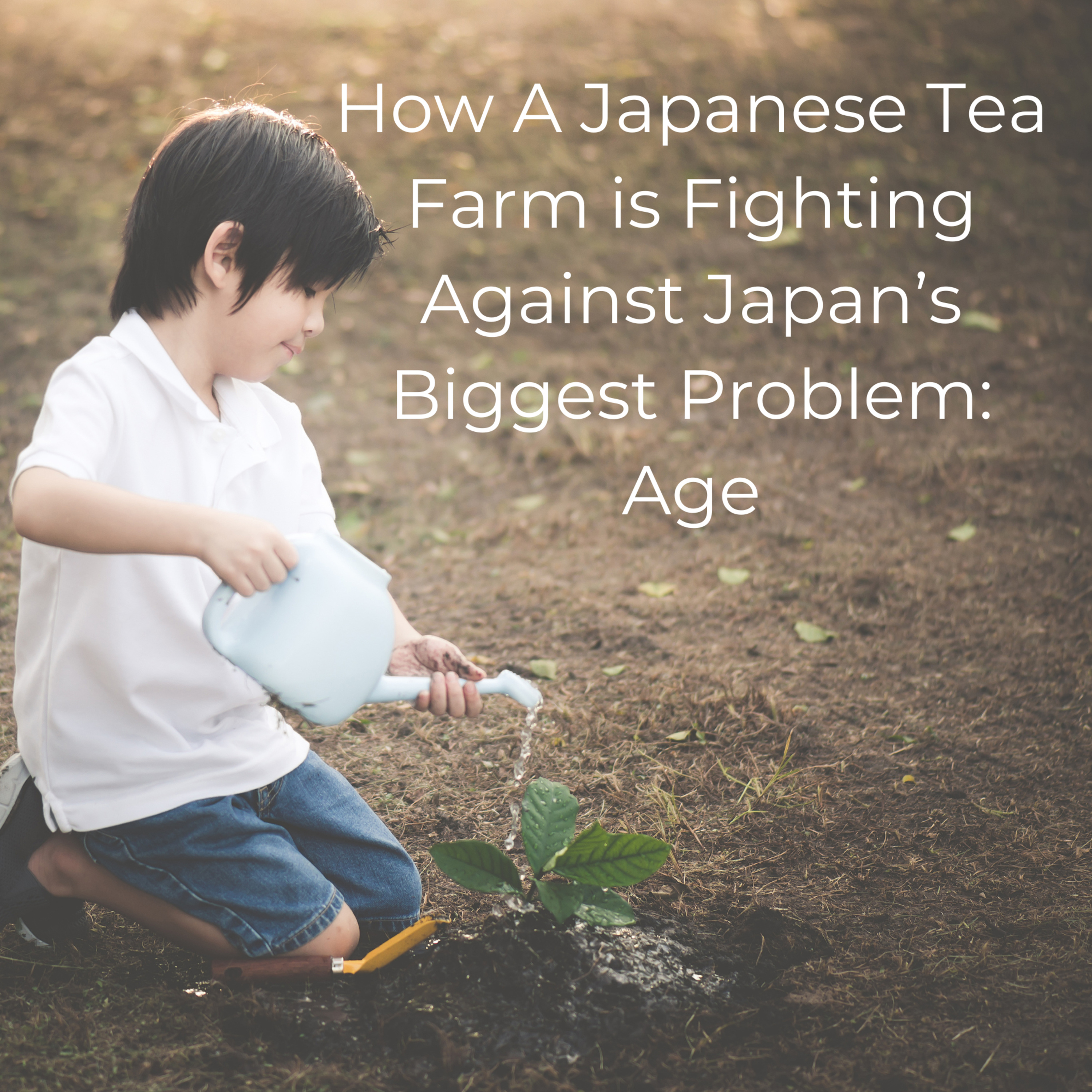 Japanese Green Tea Podcast