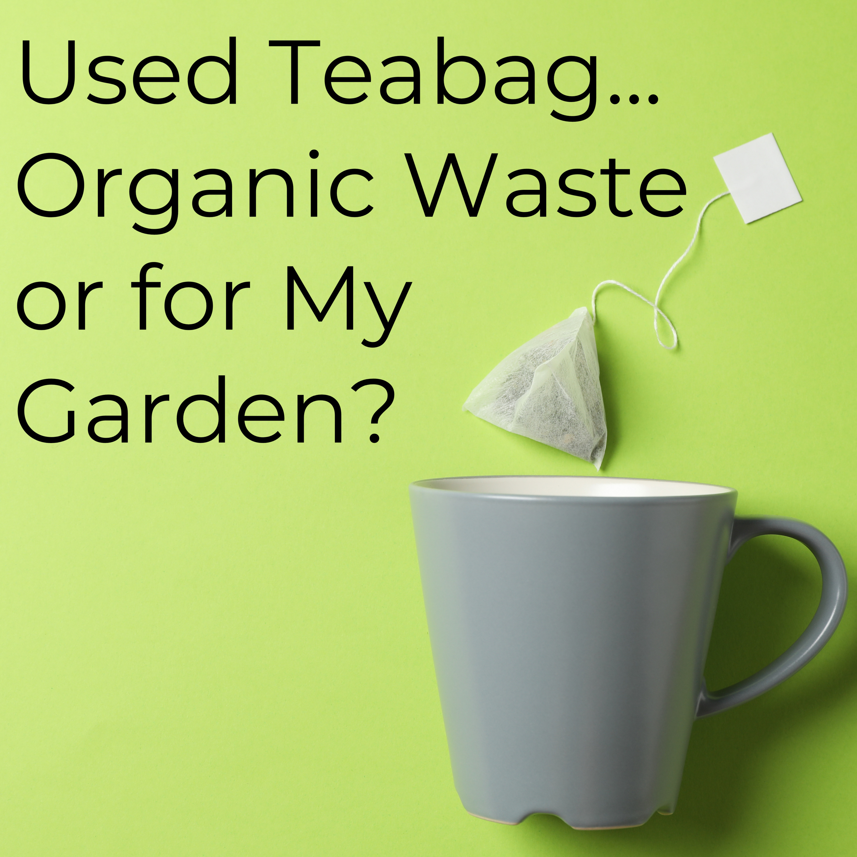 Japanese Green Tea Podcast