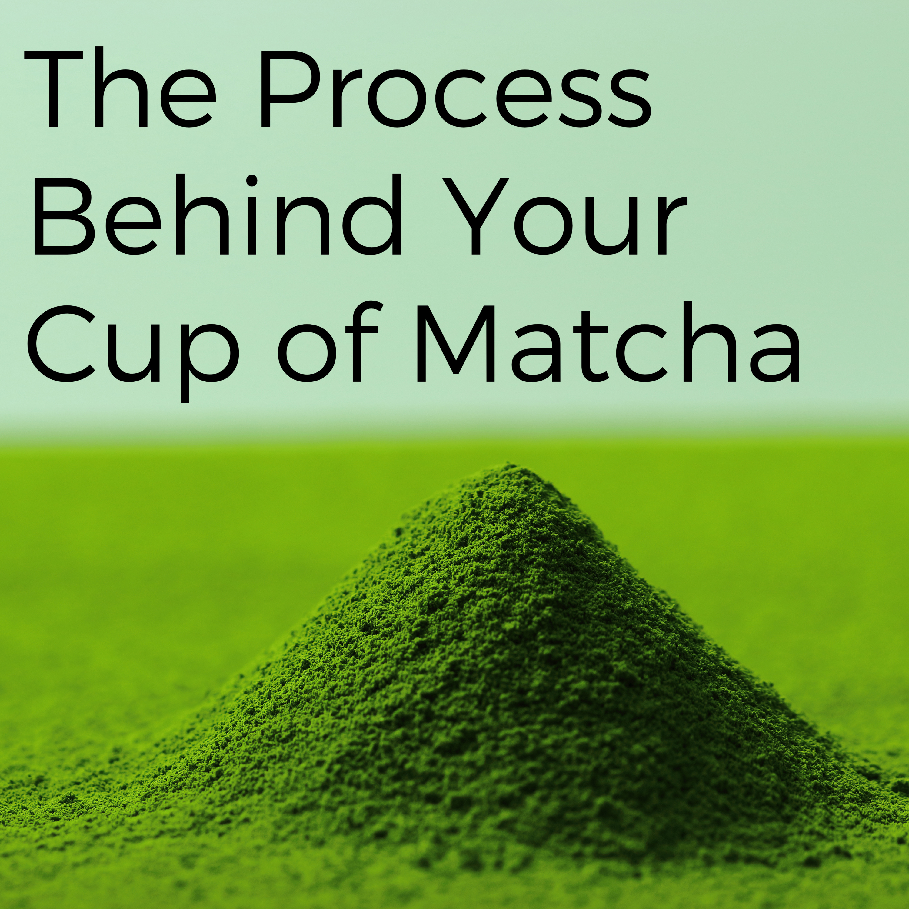 Japanese Green Tea Podcast