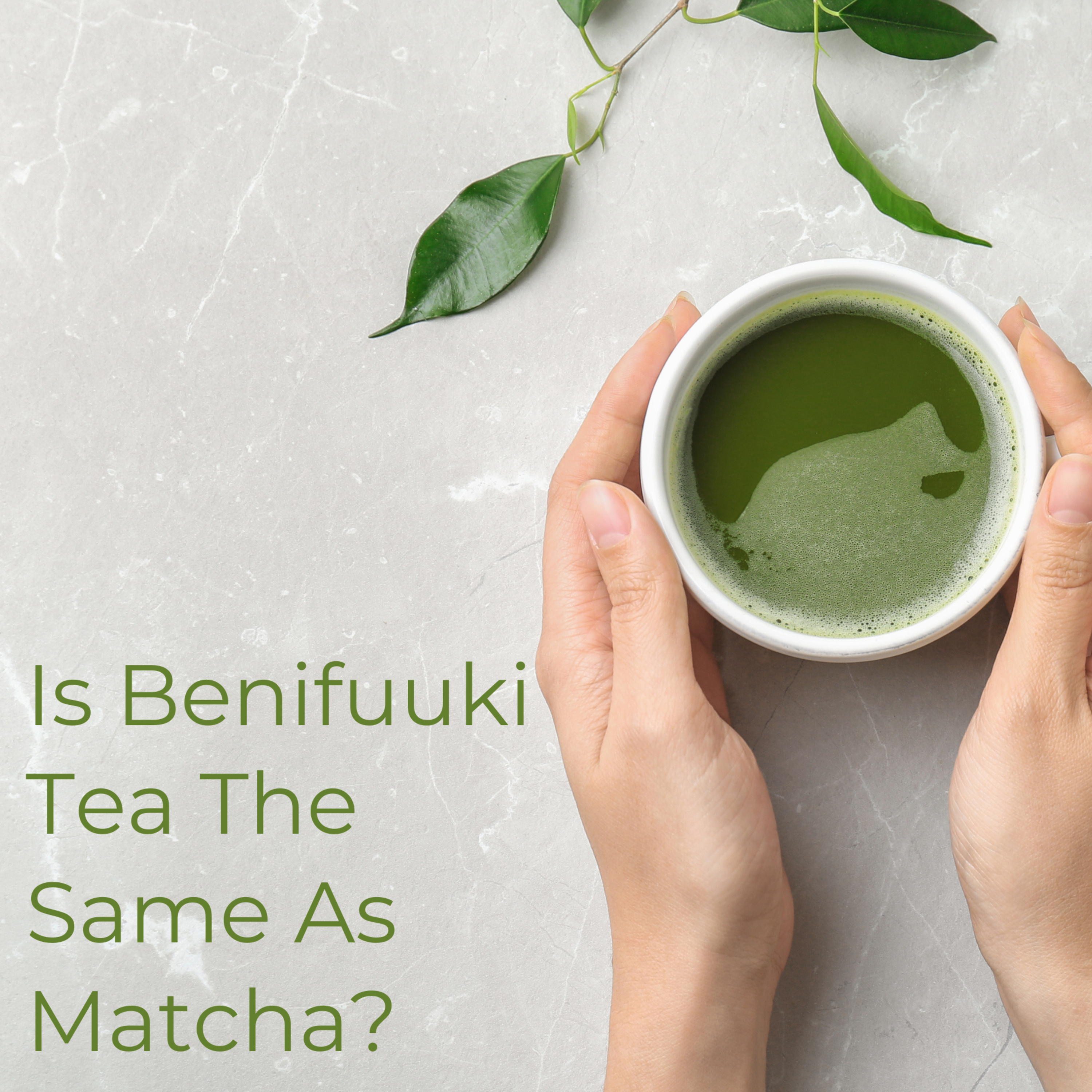 Japanese Green Tea Podcast