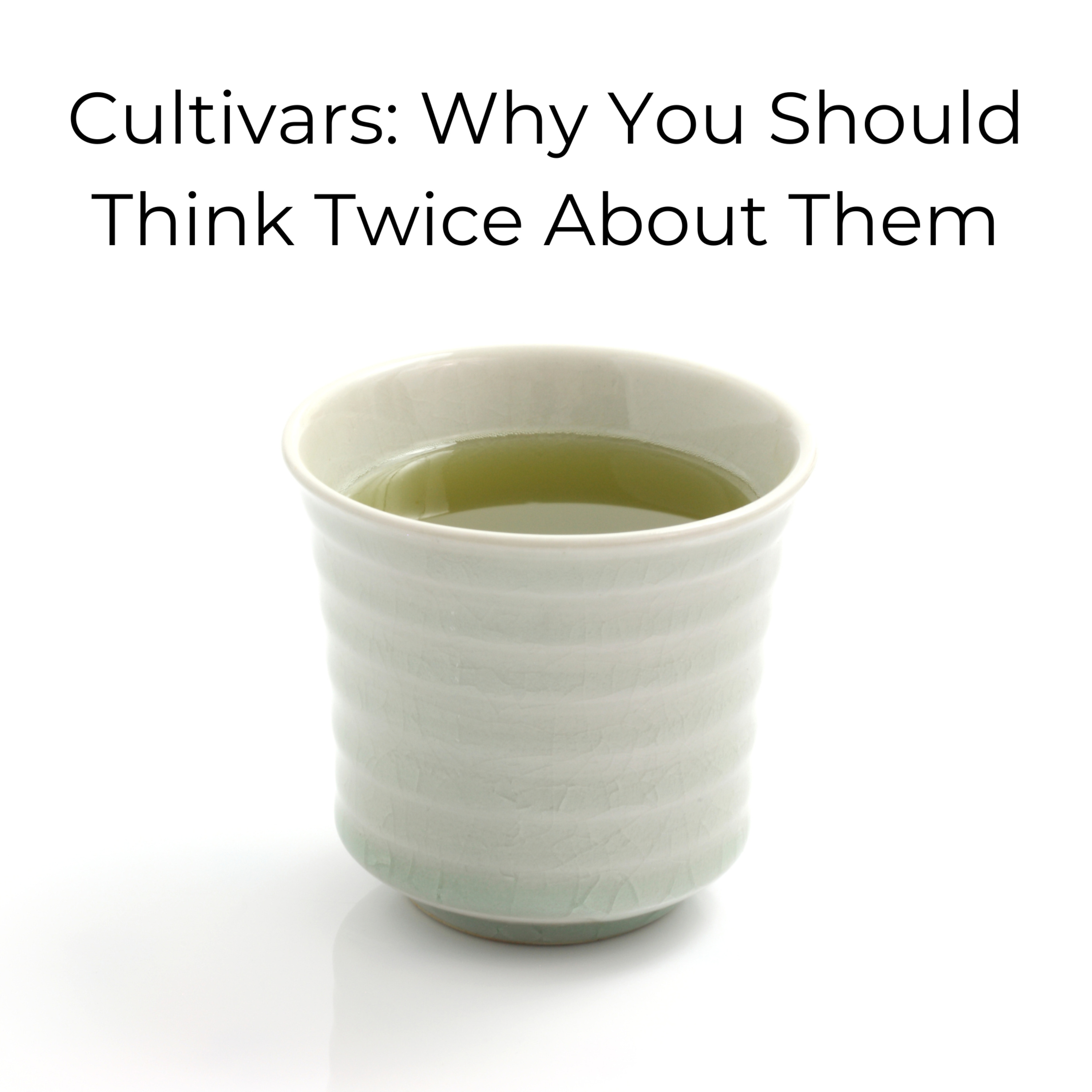 Japanese Green Tea Podcast