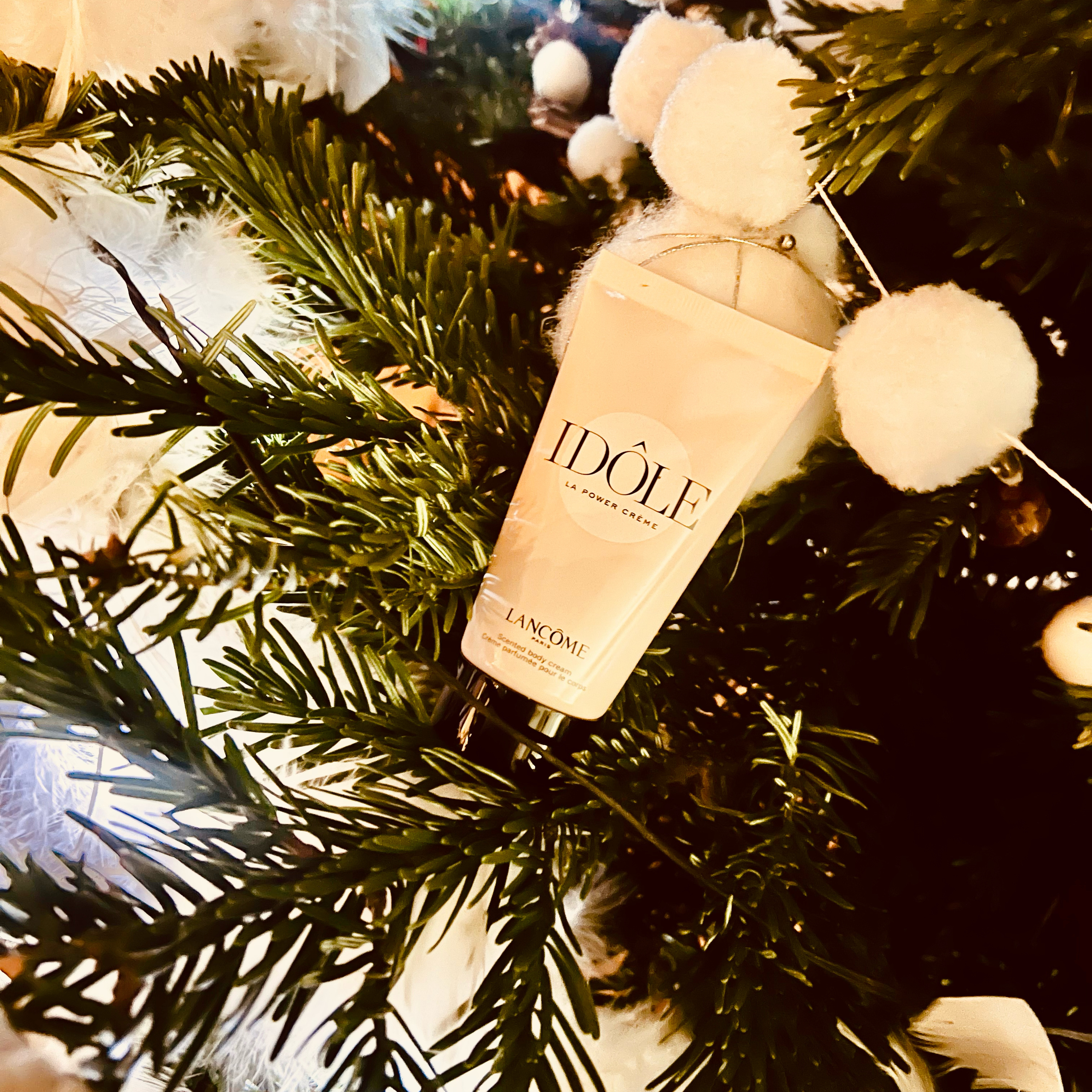 Les dahlias, des histoires d’anonymat, des tips encore pour noël 🎄 With love Always ! 🌺♥️🙈🫶🏻🎄😅👄