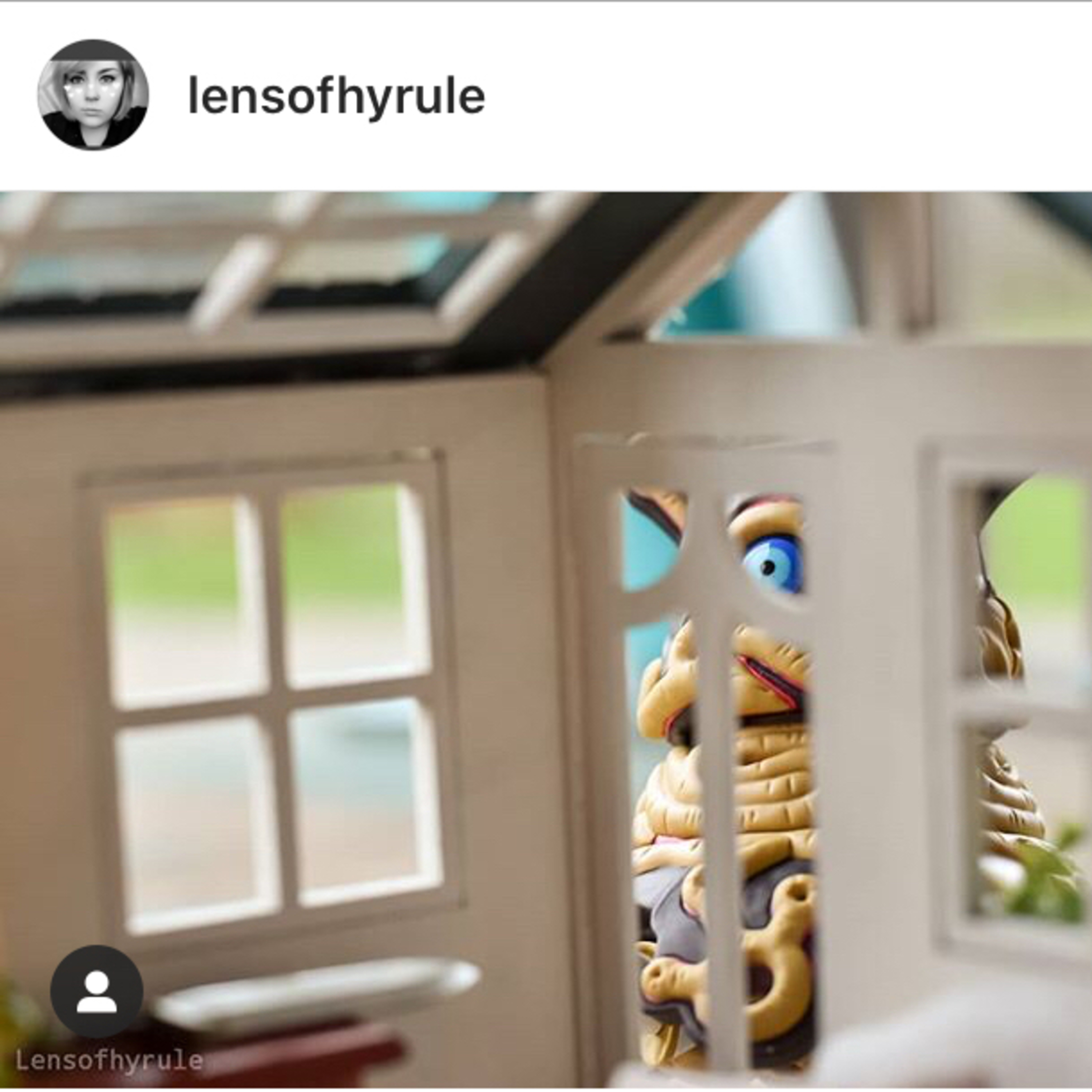 Steff’s Baer Necessities - SBN