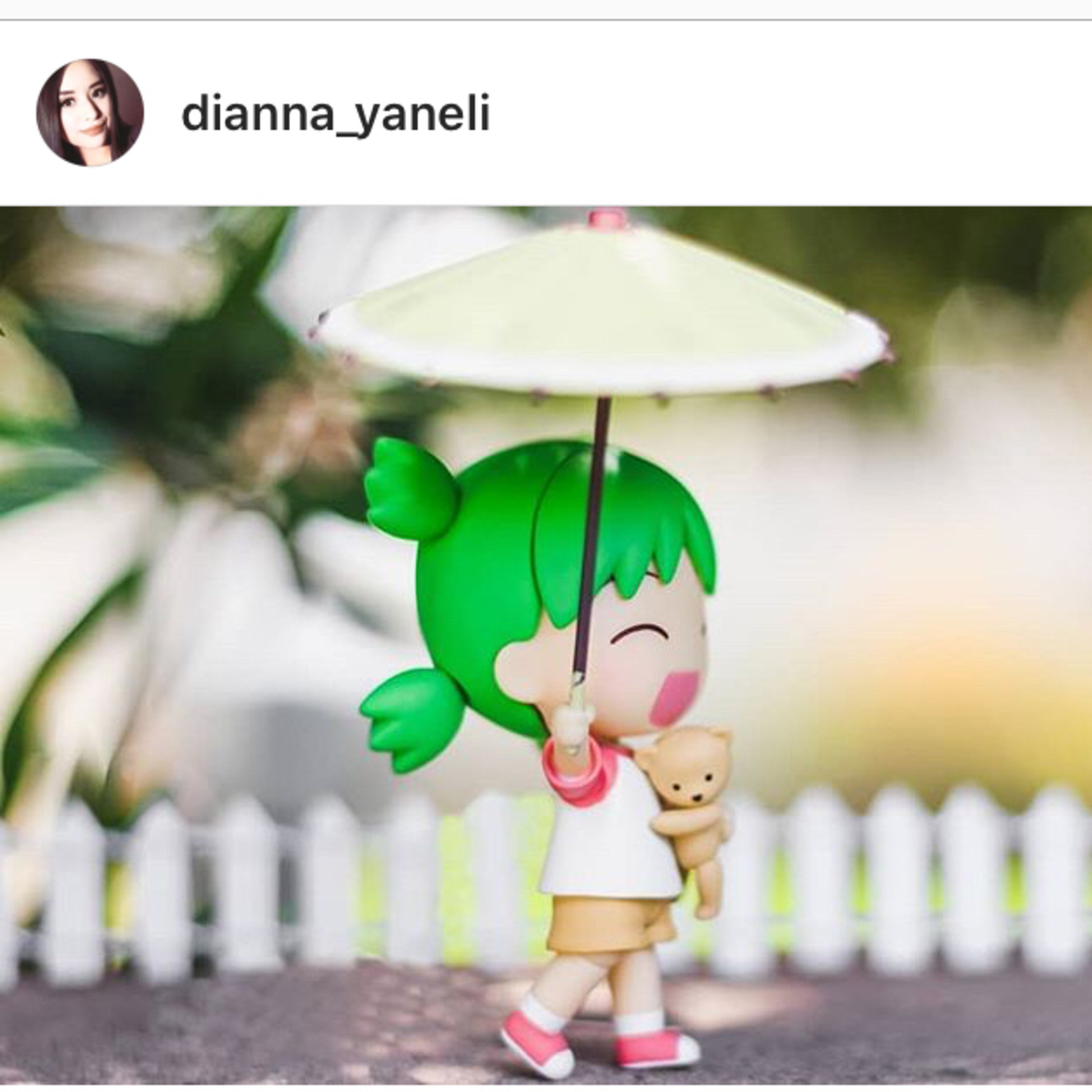 Steff’s Baer Necessities - SBN