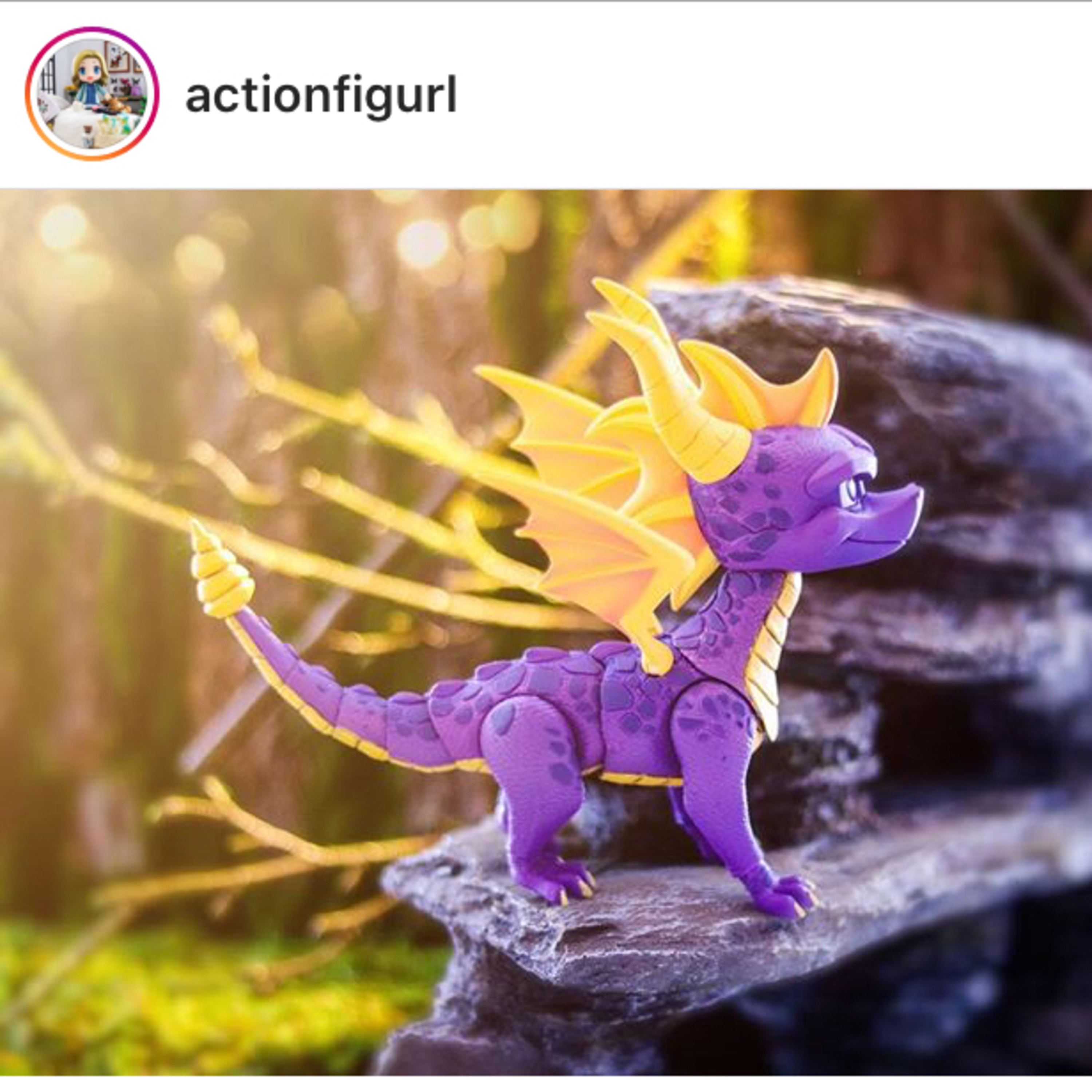 Steff’s Baer Necessities - SBN