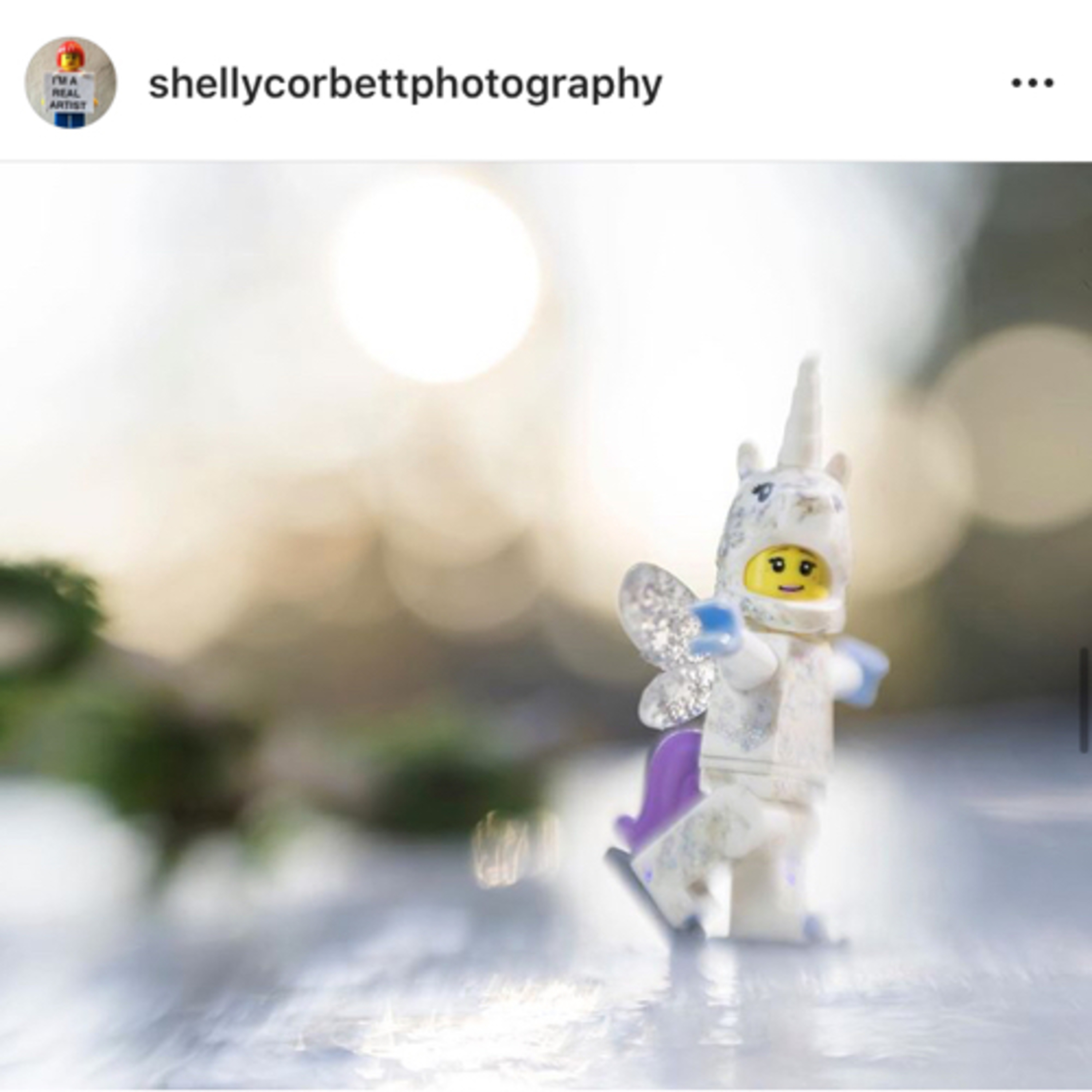 Steff’s Baer Necessities - SBN