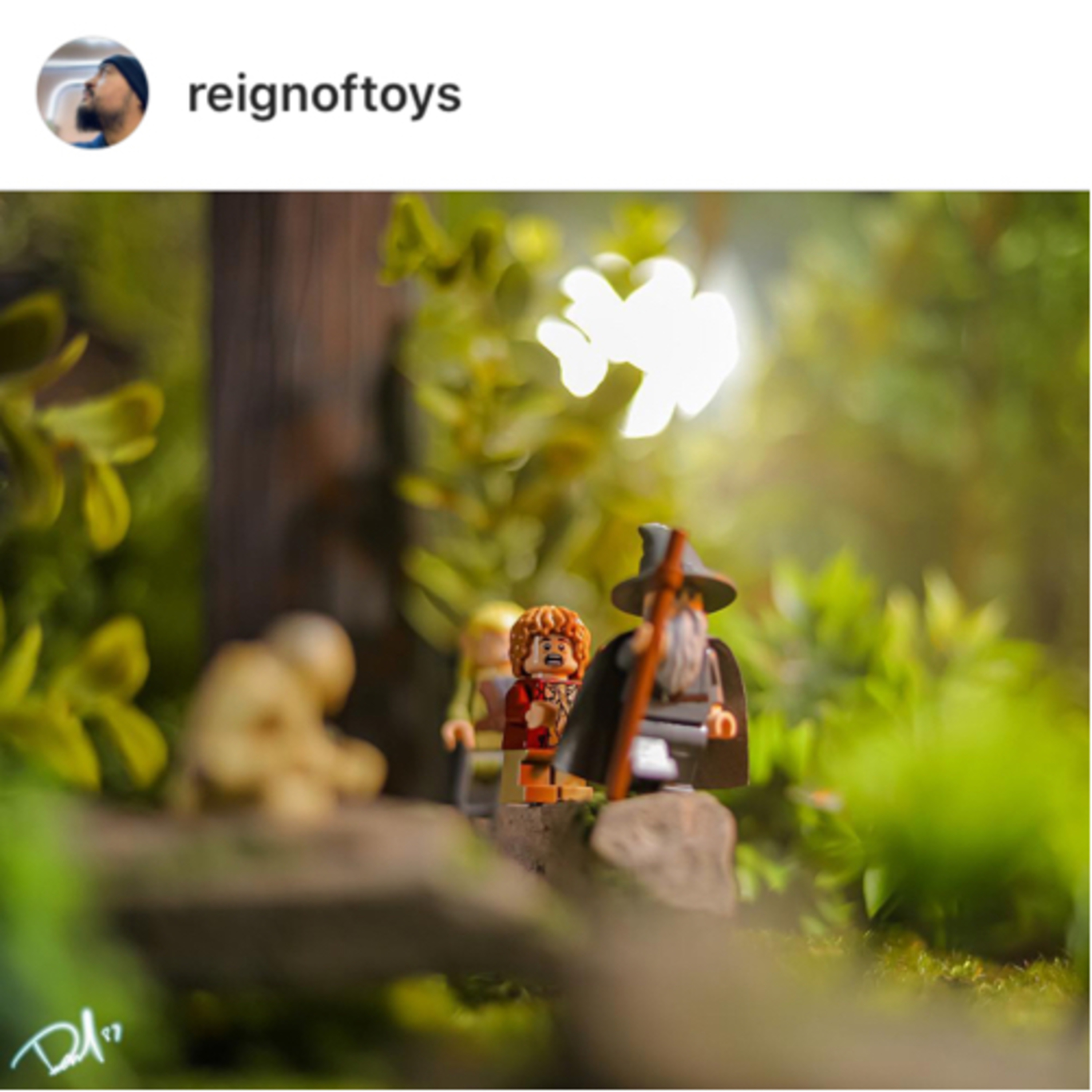 Steff’s Baer Necessities - SBN