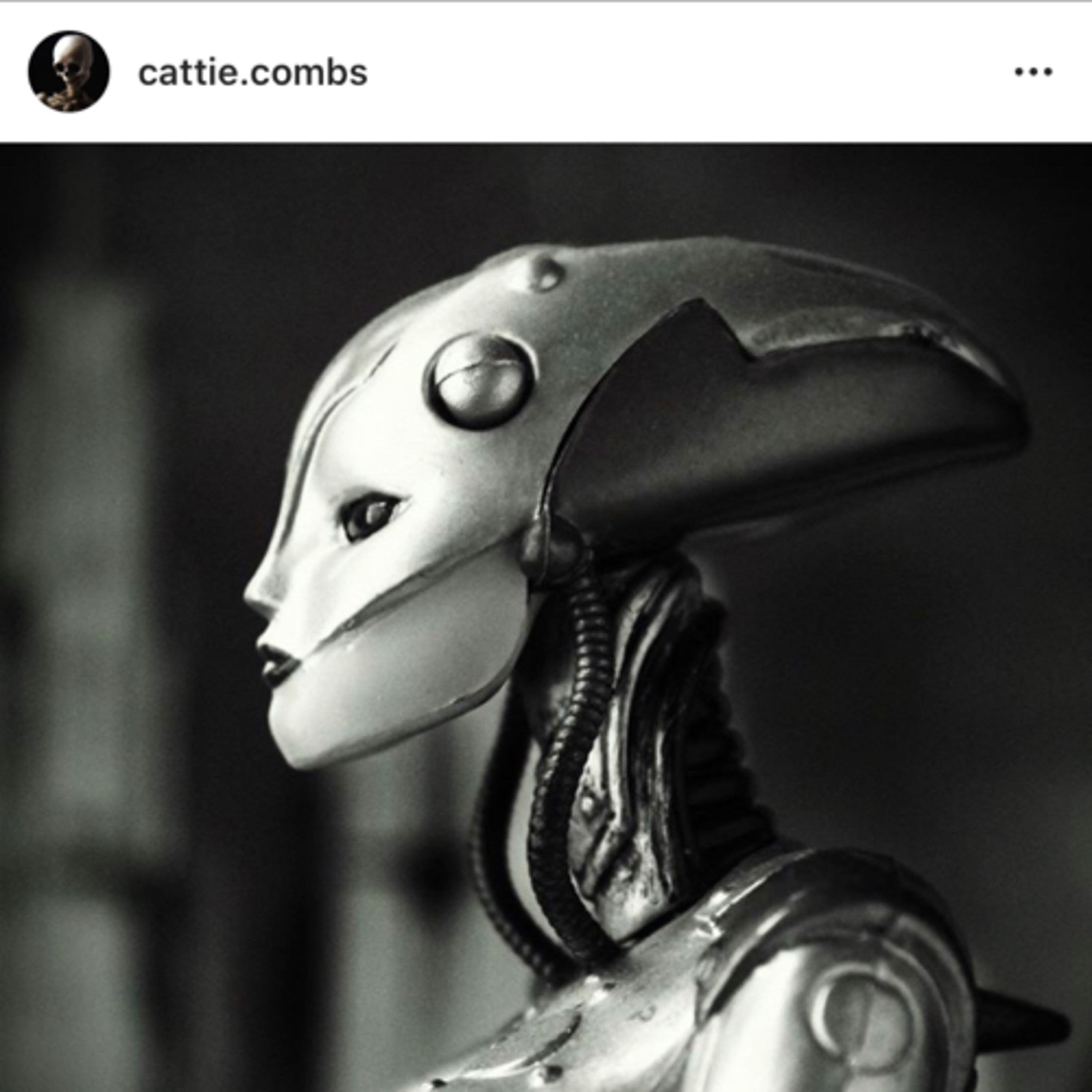 Steff’s Baer Necessities - SBN