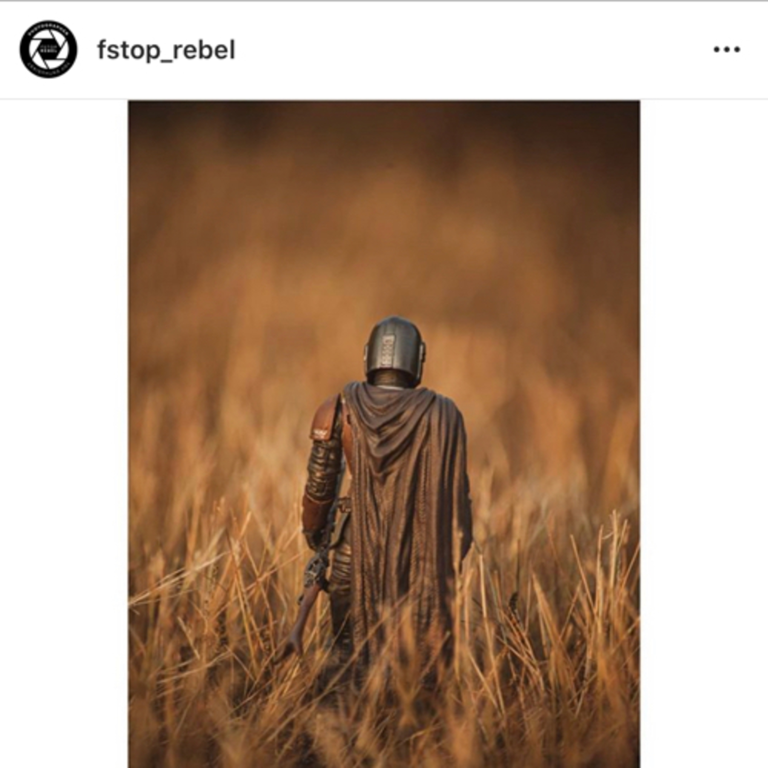 Steff’s Baer Necessities - SBN