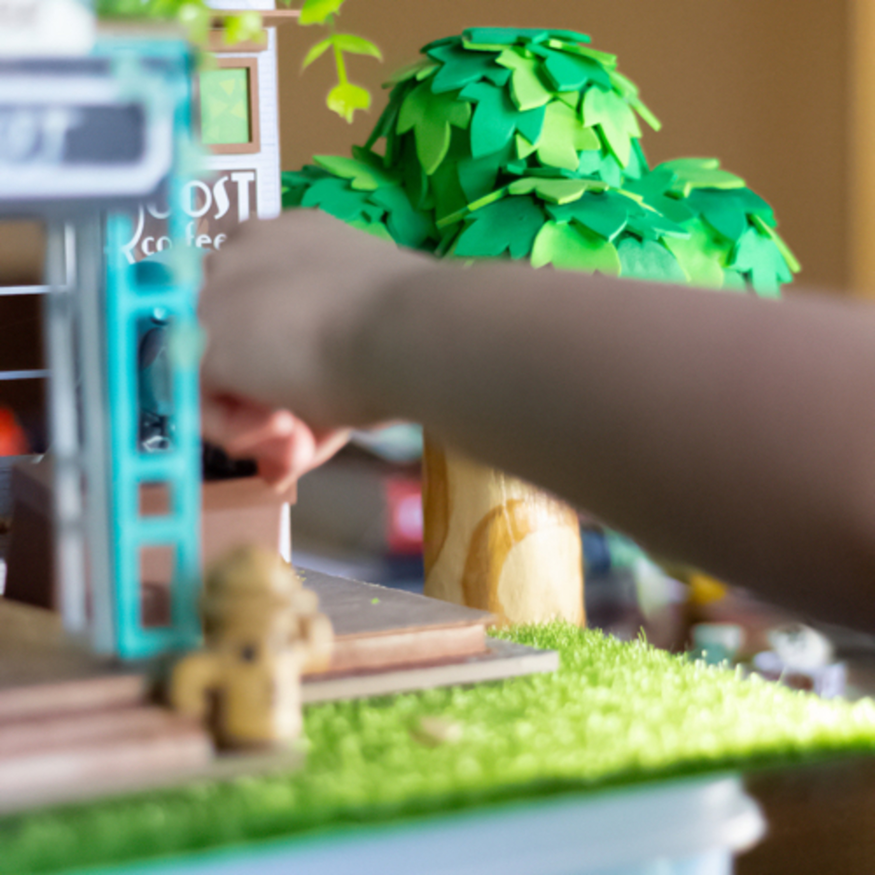 Steff’s Baer Necessities - SBN