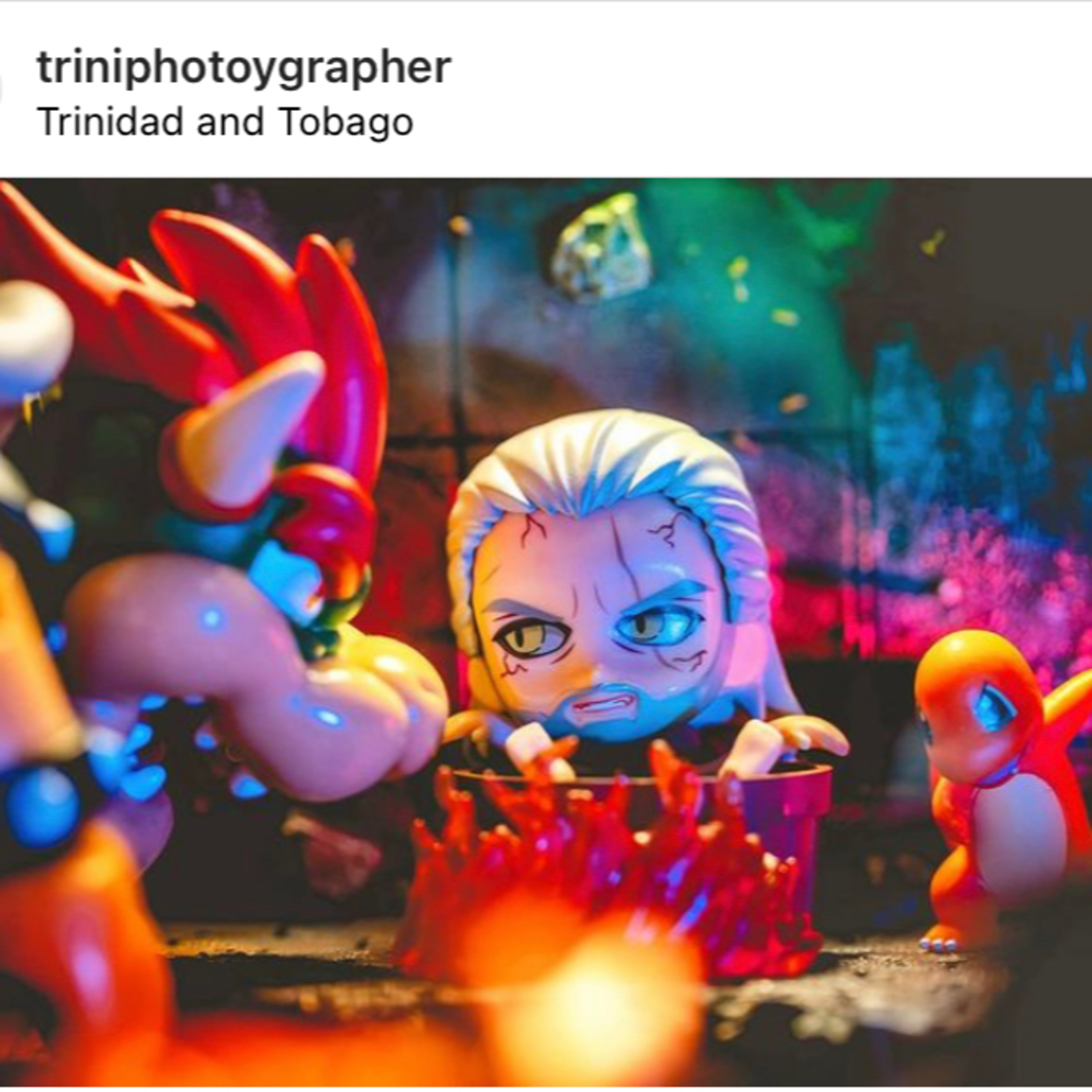 Steff’s Baer Necessities - SBN