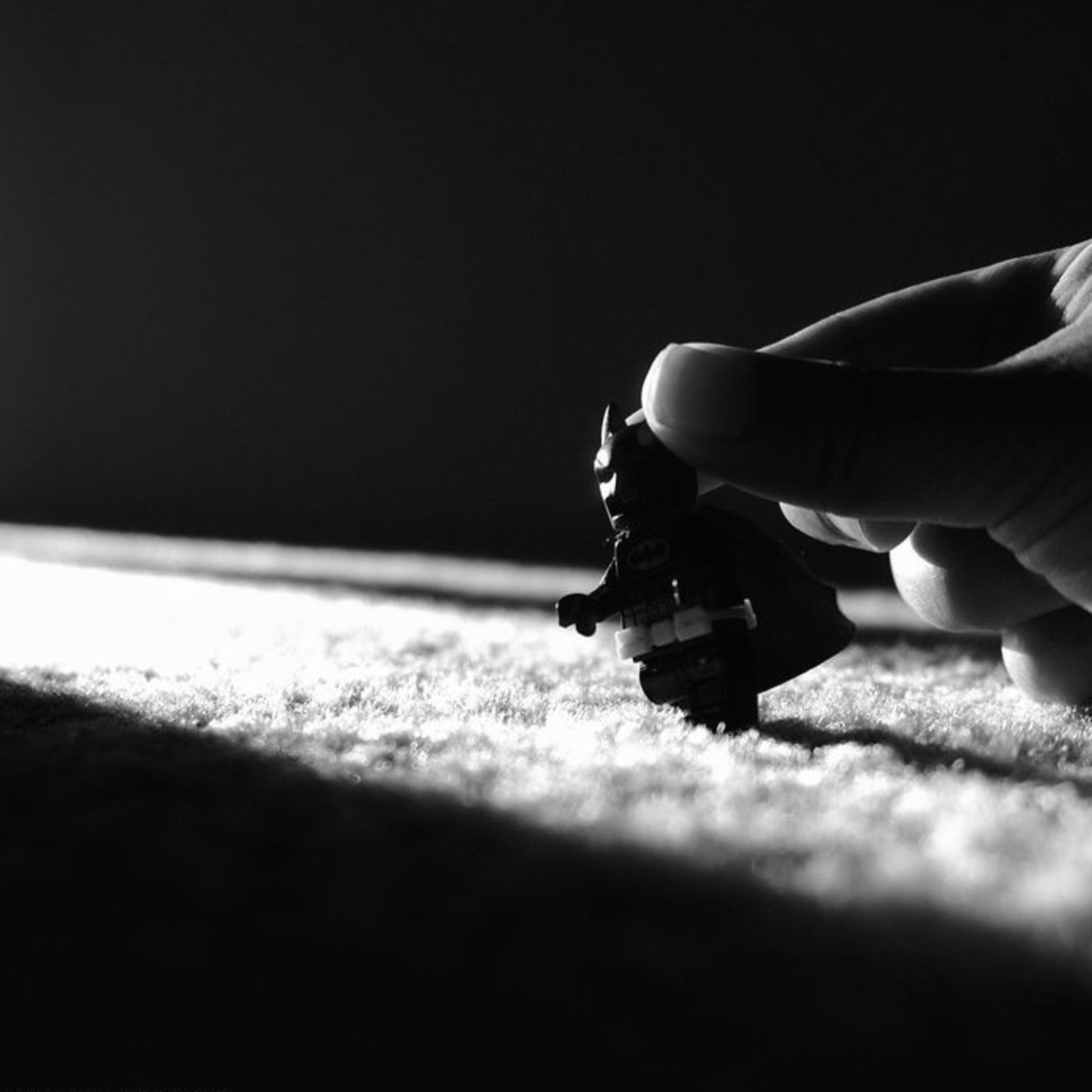 Steff’s Baer Necessities - SBN