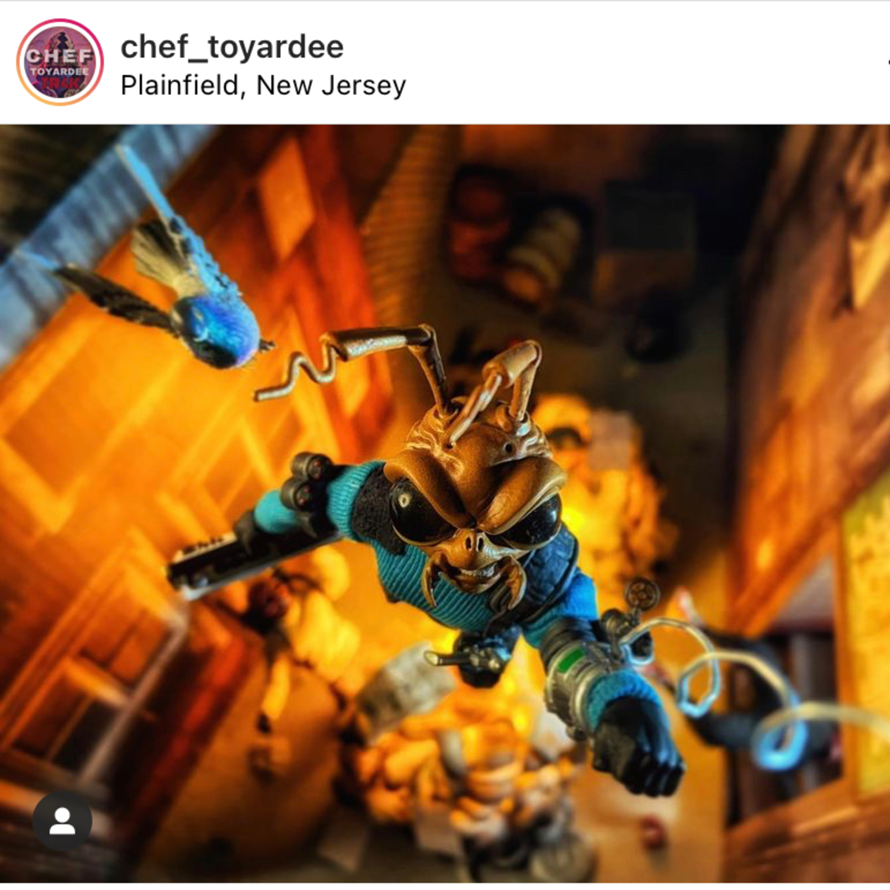 Steff’s Baer Necessities - SBN