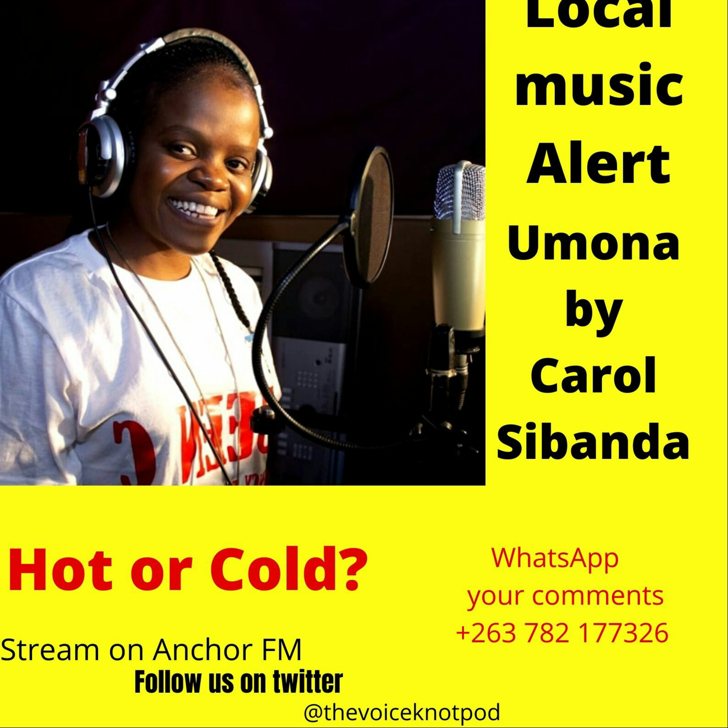 The Voice Knot Podcast