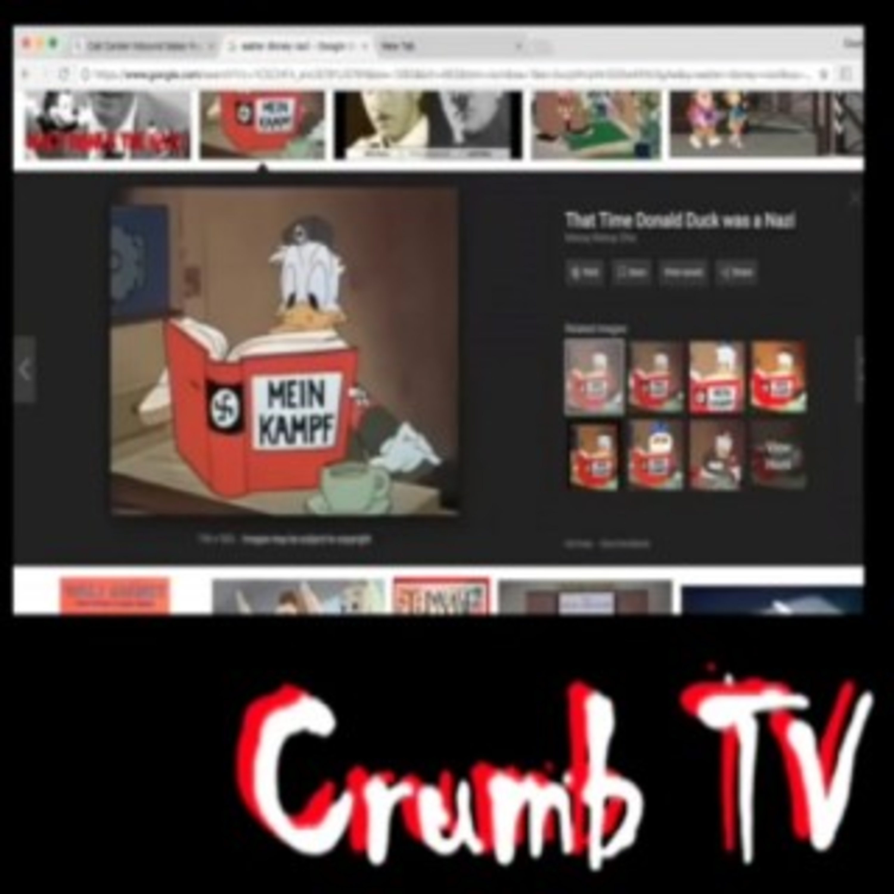 #Disney #Cartoons Decoded - #Racist Ninja Turtles? @Crumb_Snatcher_ decodes #American Cartoons on #TheFlyGuysPodcast #TheFlyGuysShow episode artwork