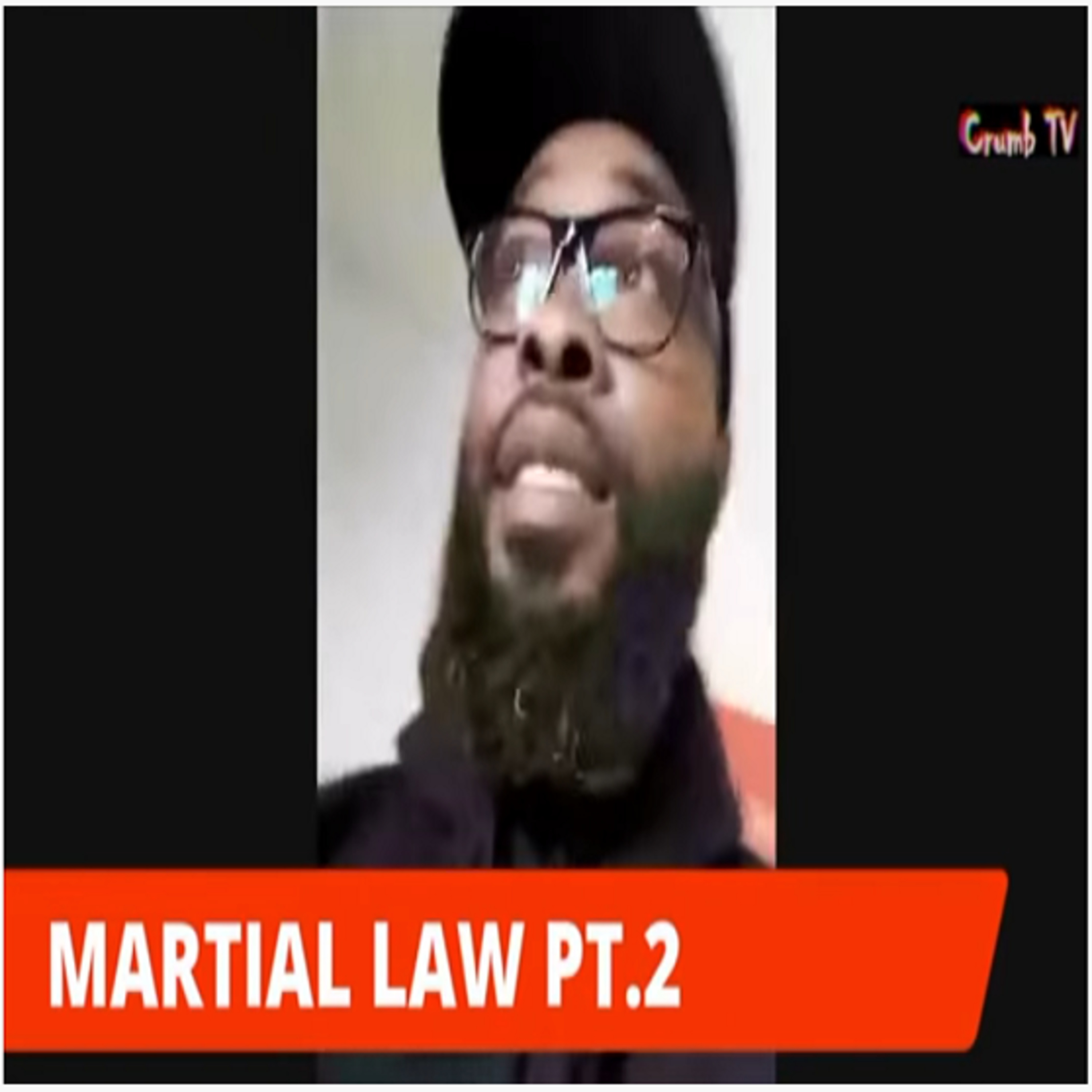 Martial Law Pt. 2 - Crumb and Ponder Chop it up about the Government episode artwork