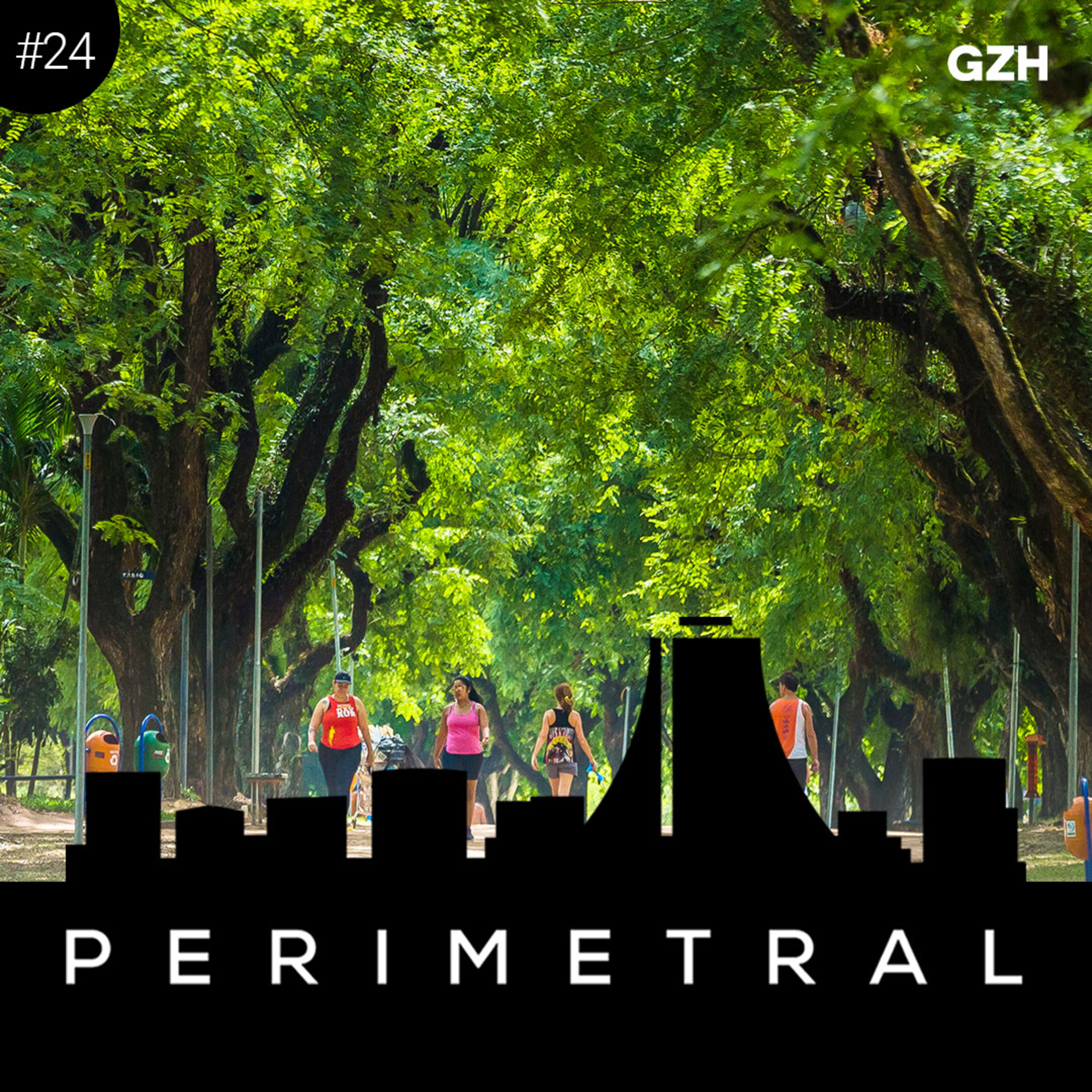 Orgulho da população, árvores de Porto Alegre já foram mais bem tratadas episode artwork
