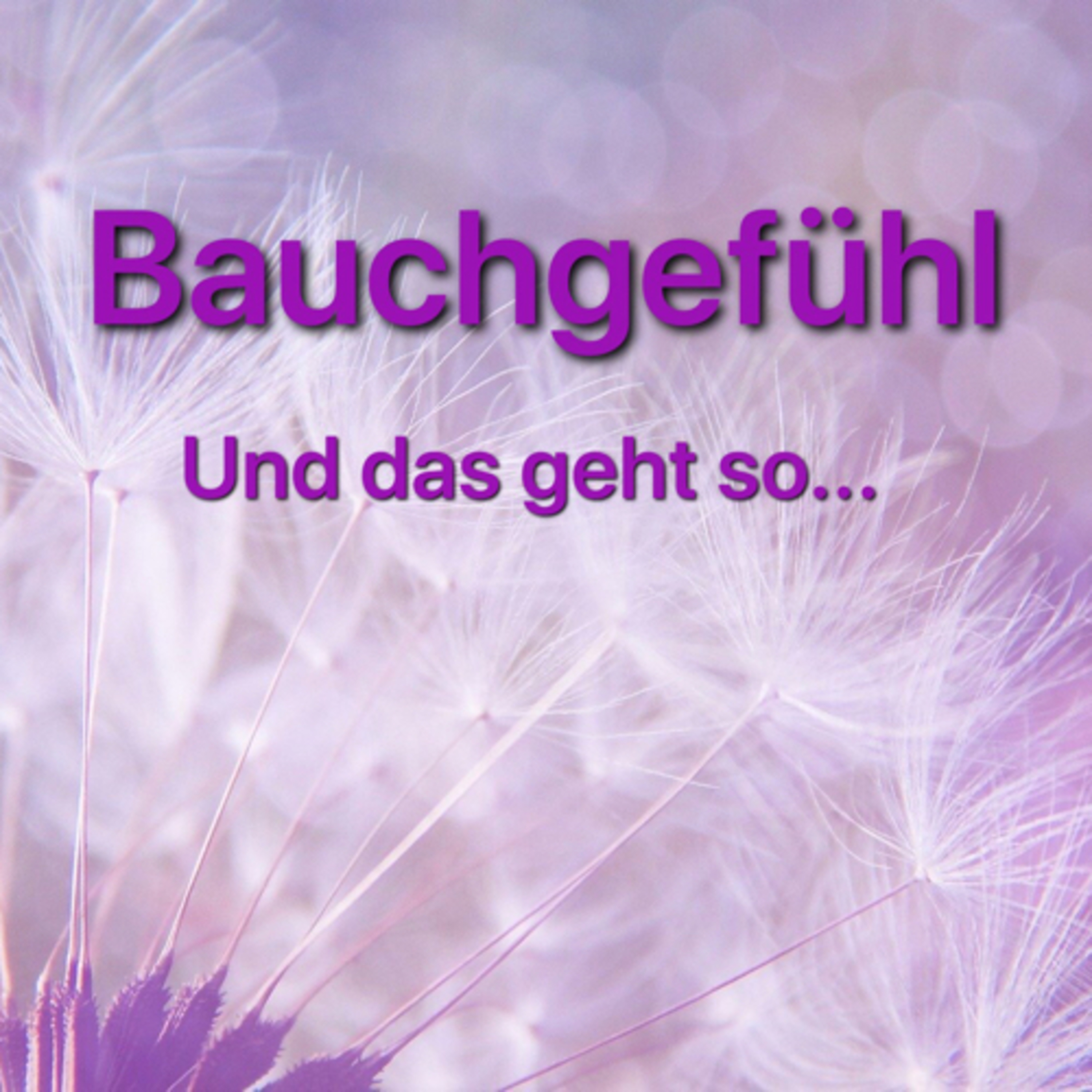 Bauch oder Kopf? Wer spricht? episode artwork