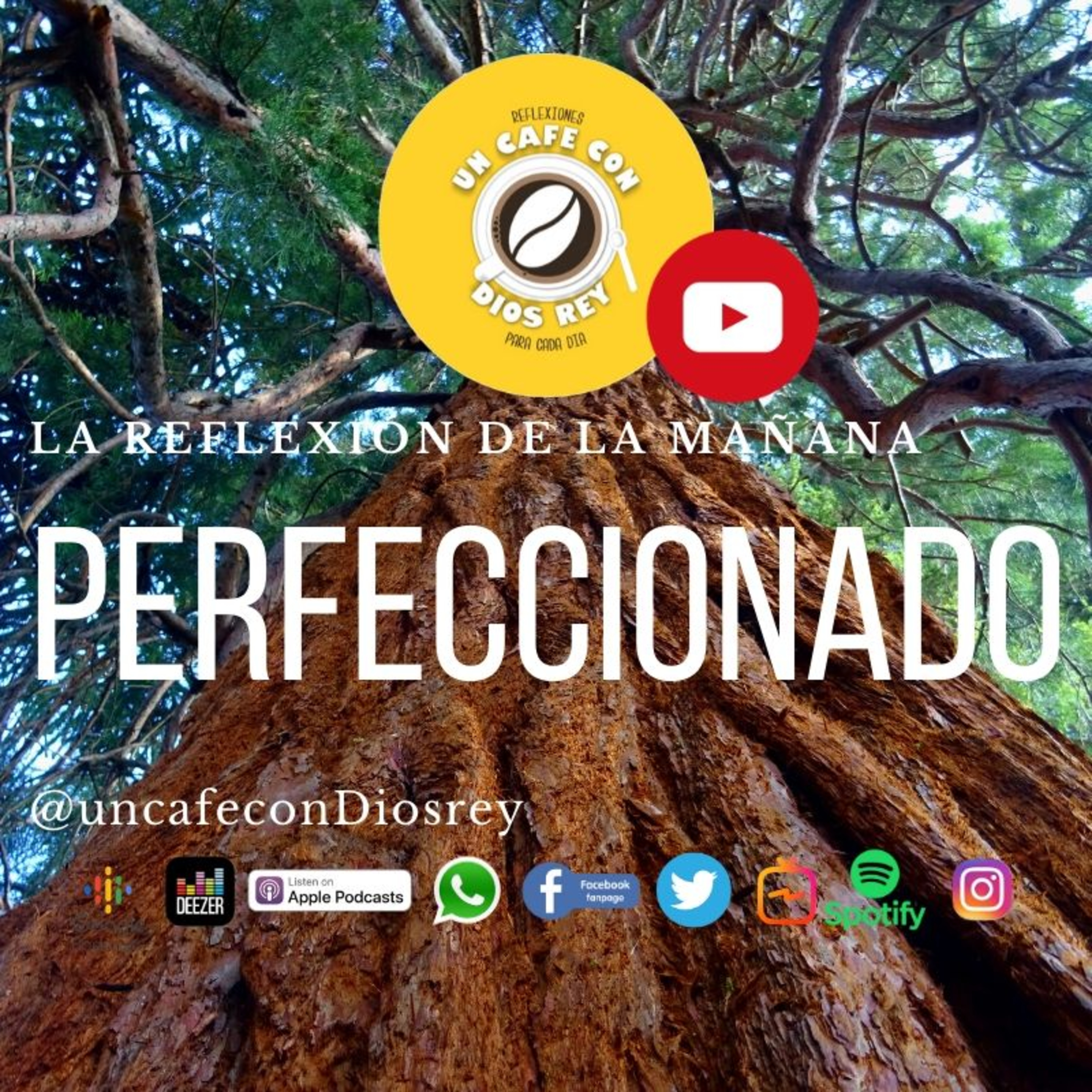cover of episode PERFECCIONADO 