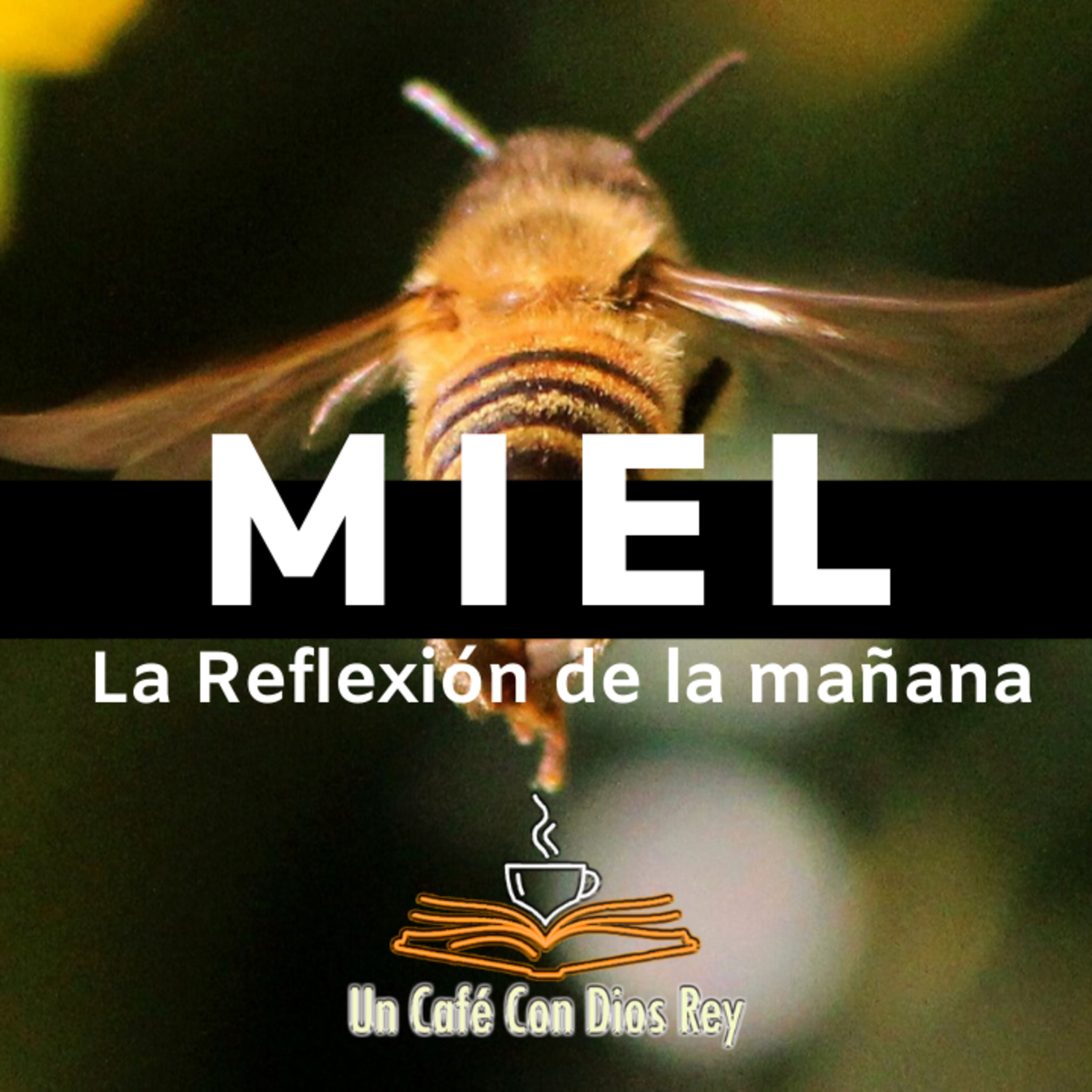 cover of episode MIEL