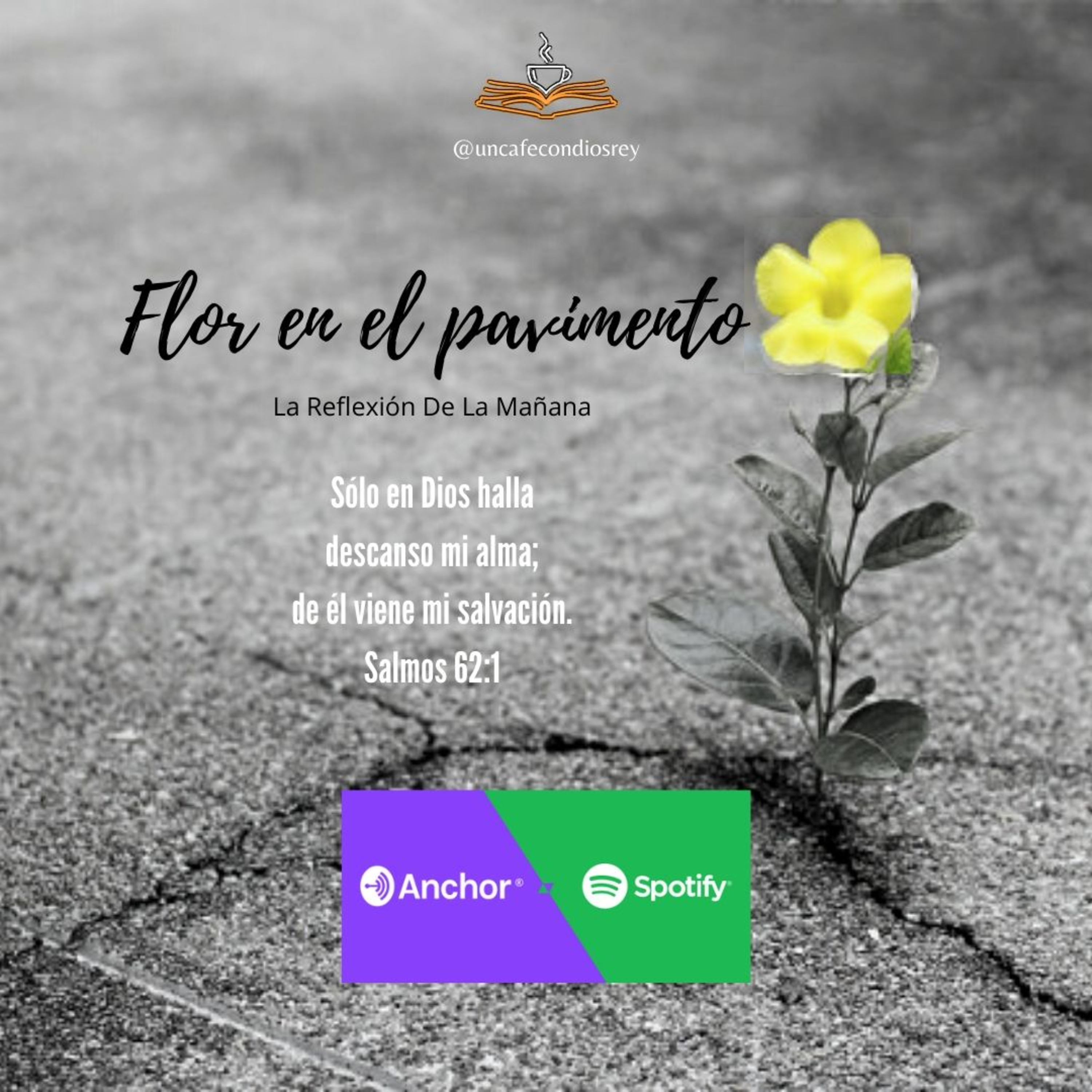 cover of episode Flor en el pavimento