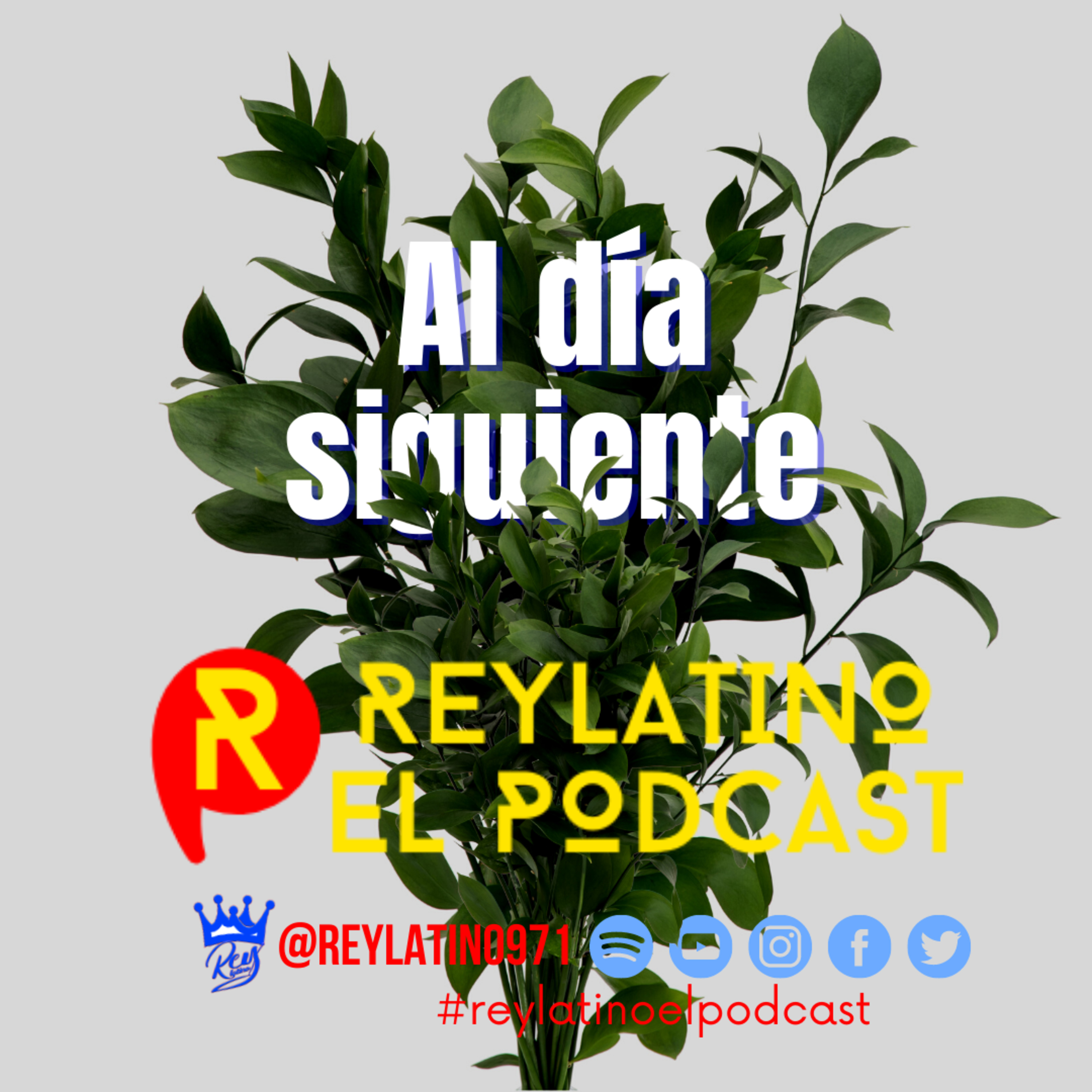 cover of episode Al día siguiente