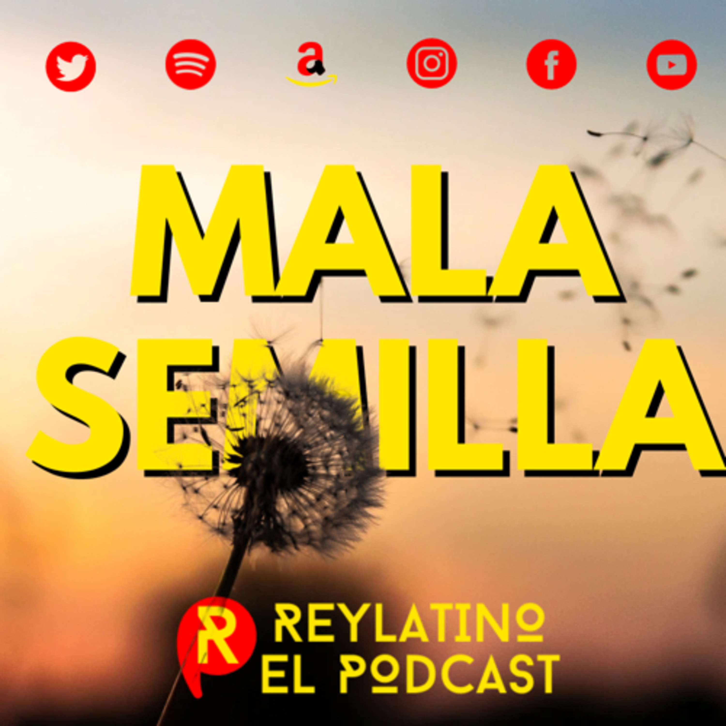 cover of episode Mala semilla 