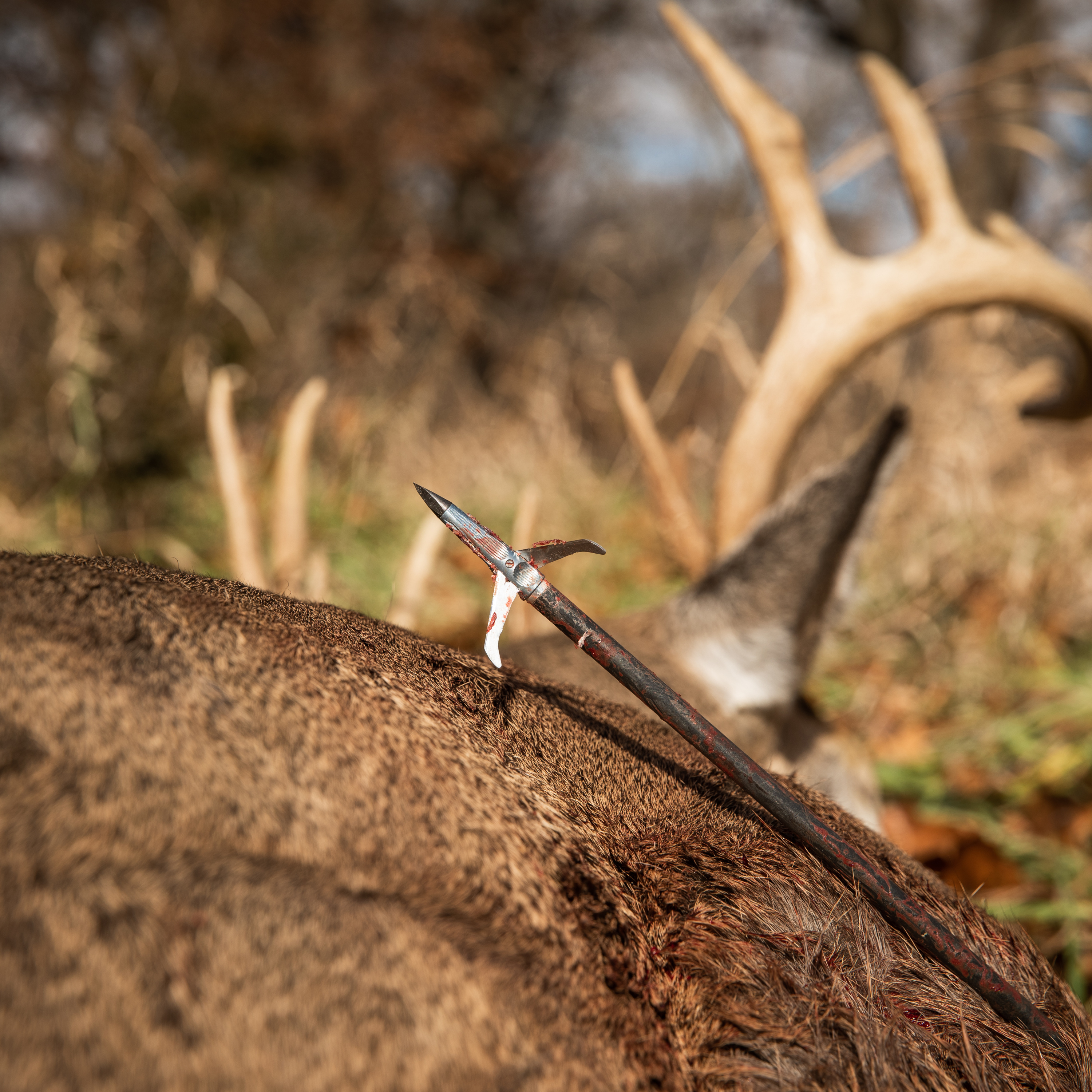 Mechanicals Don't Suck (Broadhead Debate, Mechanical vs Fixed Blades)