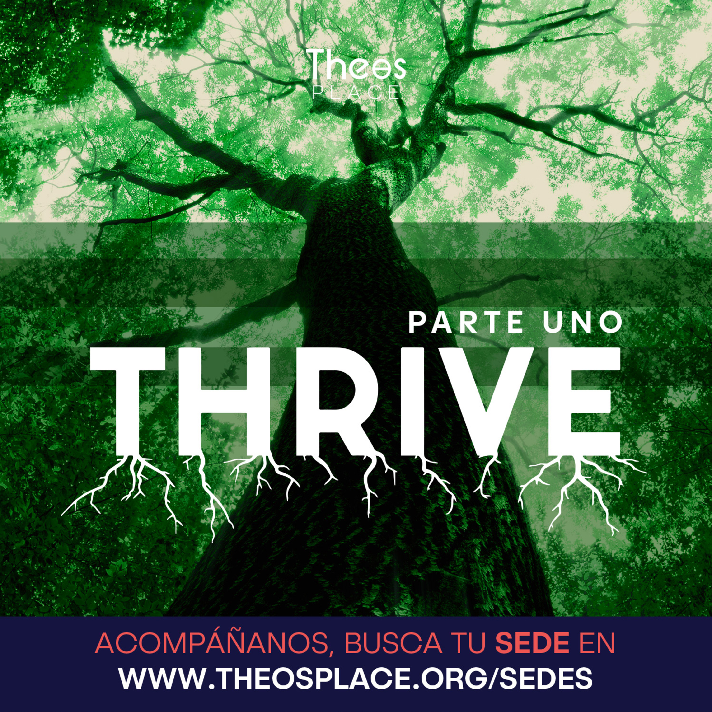 Portada de Theos Place