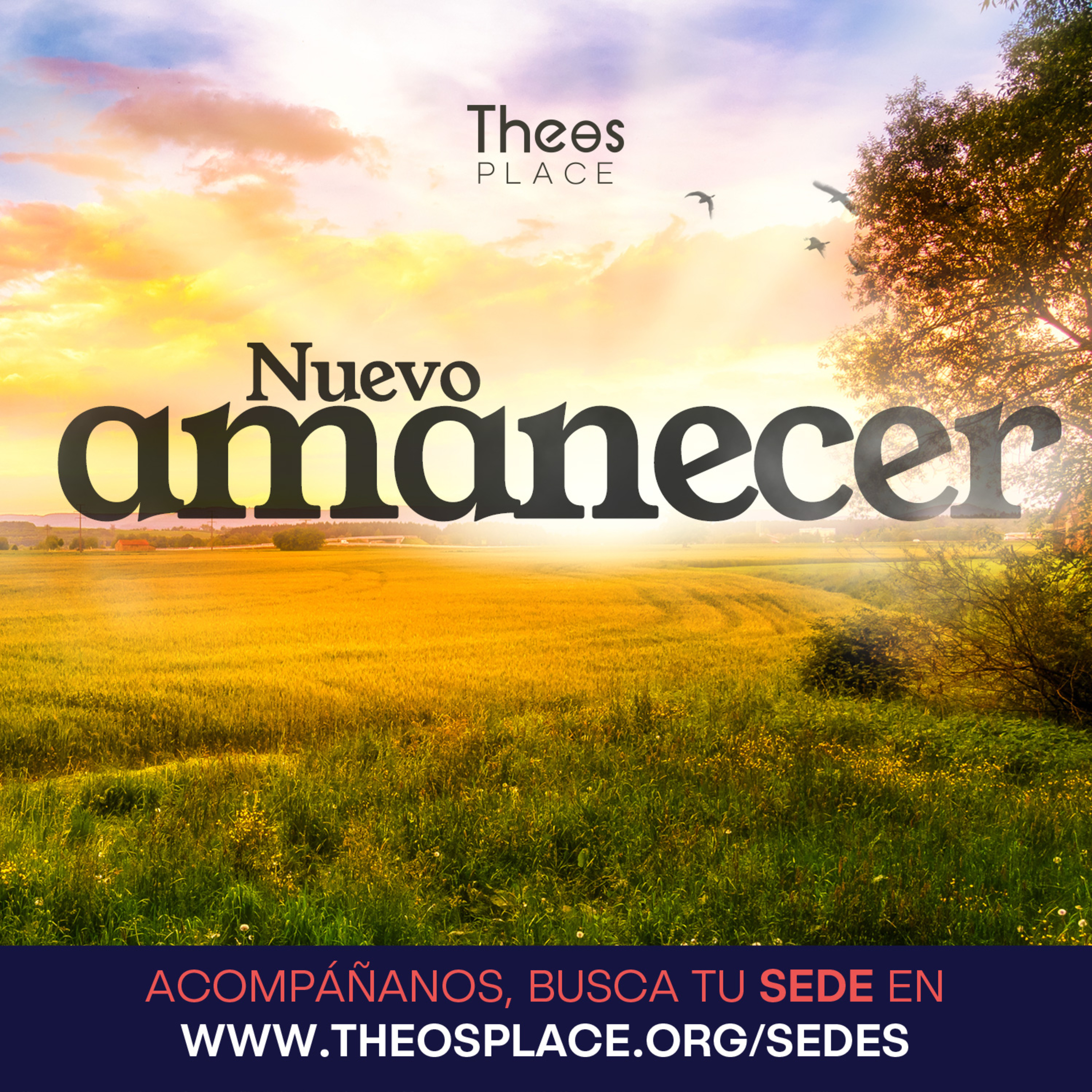 Portada de Theos Place