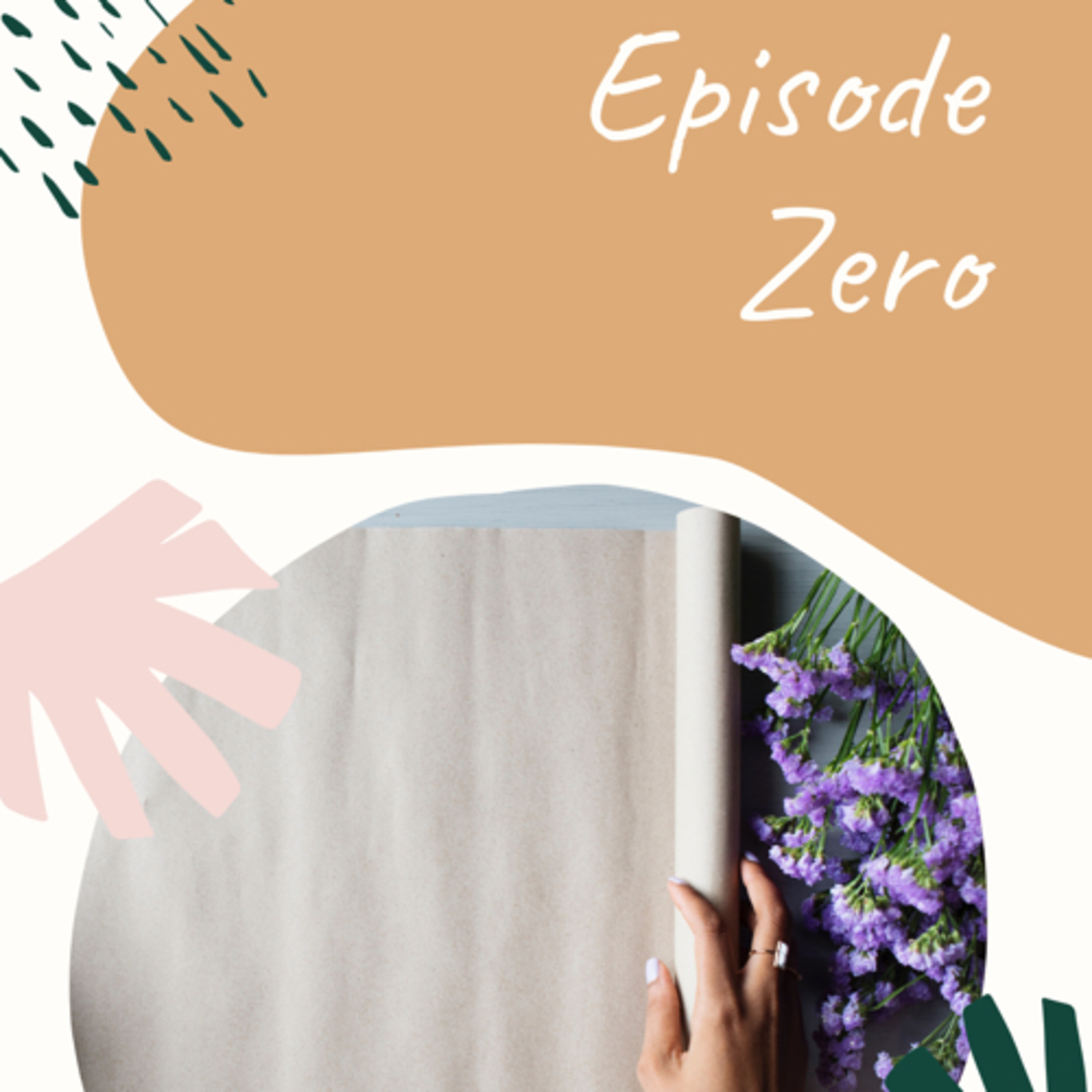 Episode 0 episode artwork