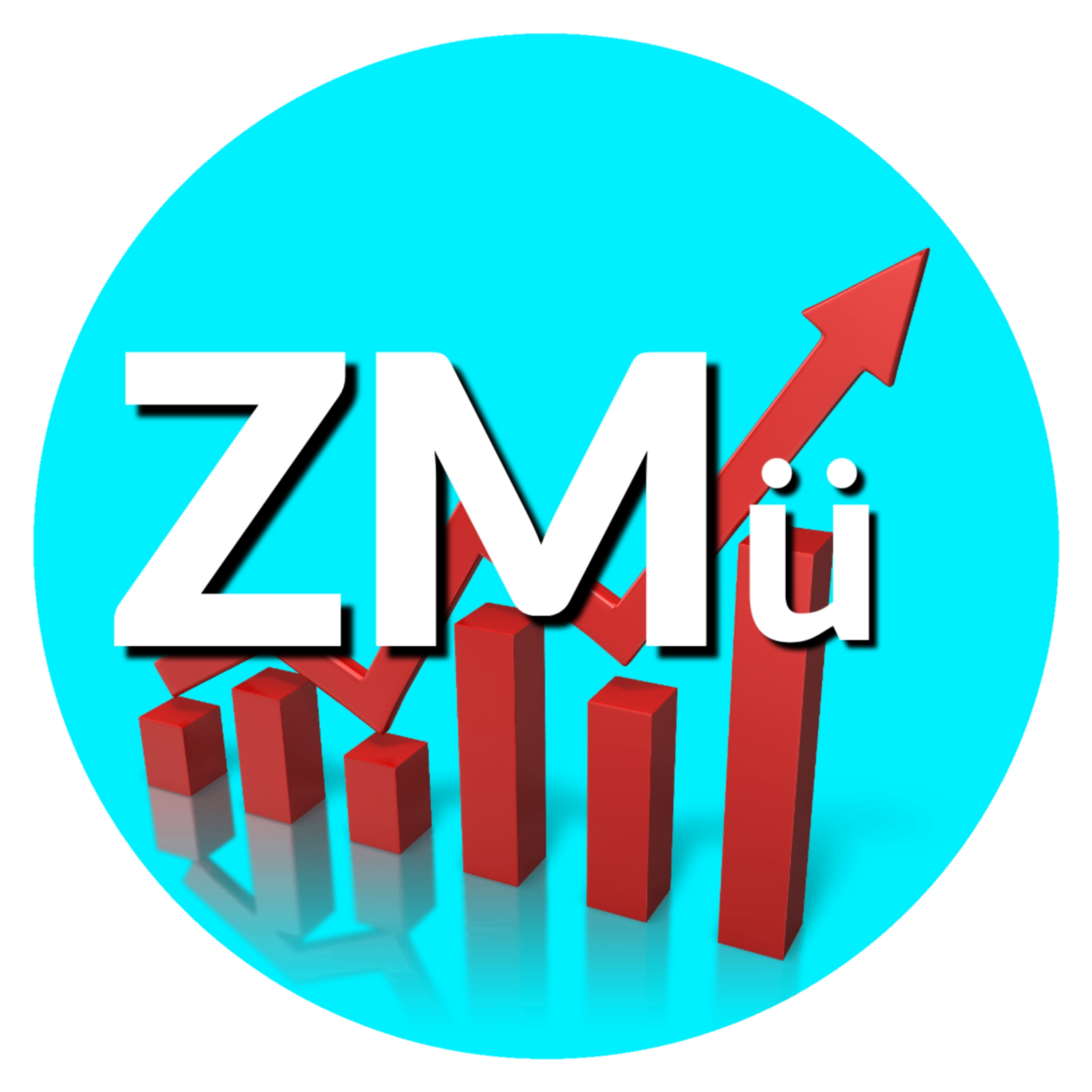 ZMÜNTIZE\'RZ - Team ZMu