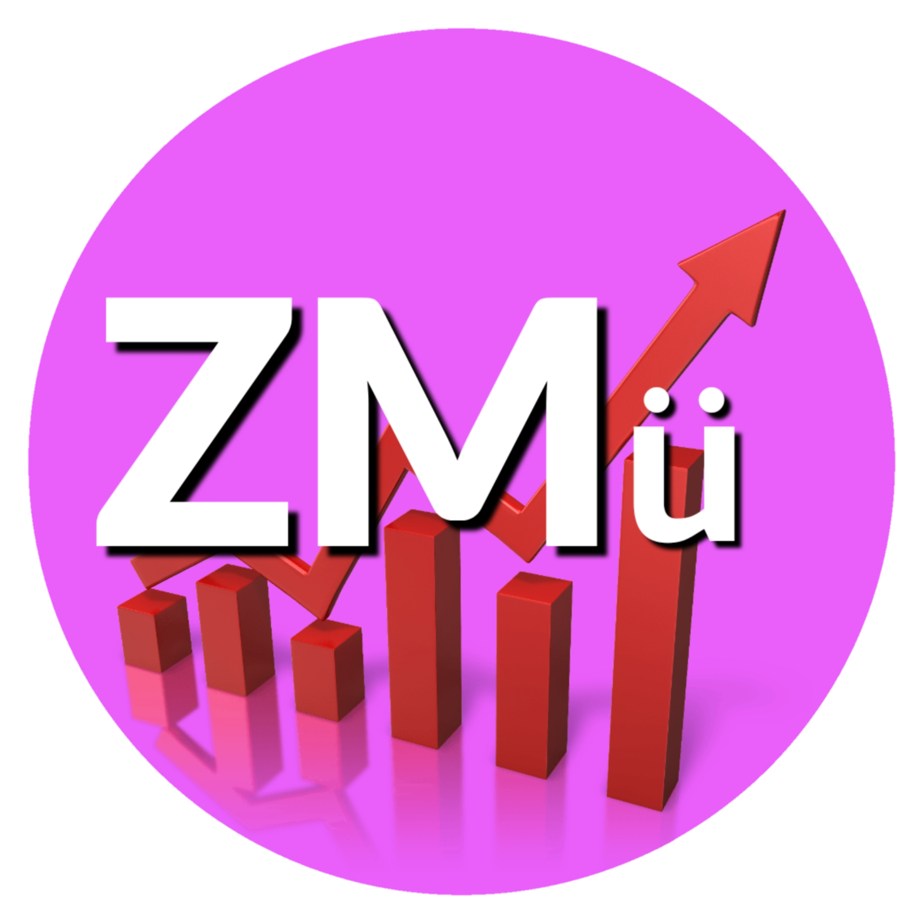 ZMÜNTIZE\'RZ - Team ZMu