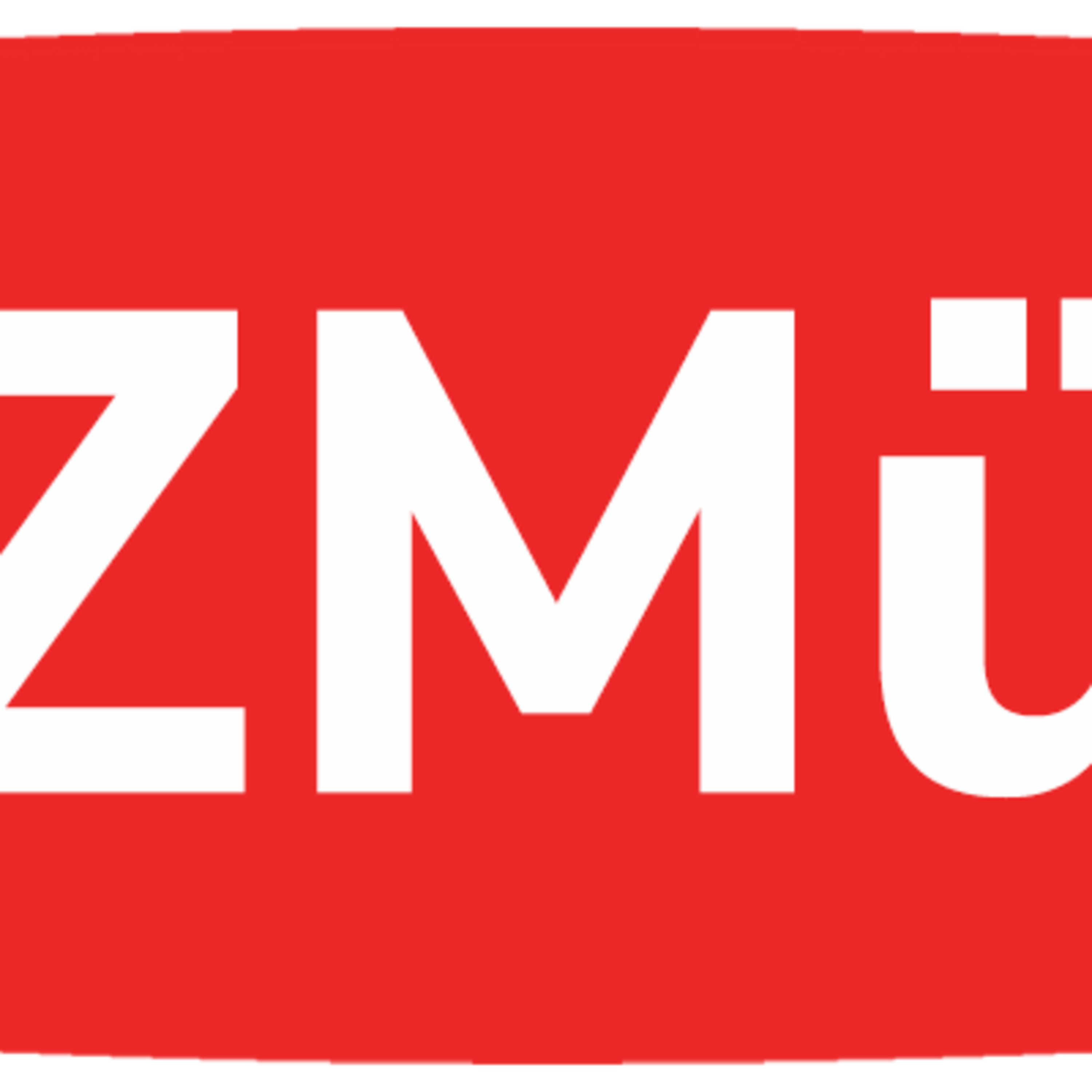 ZMÜNTIZE\'RZ - Team ZMu
